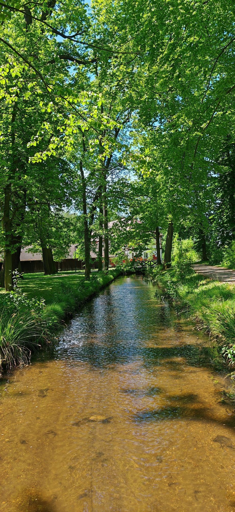 Schmaler Fluss (schon fast ein Bach) in einem Stadtpark , glasklares Wasser. Links eine gemähte Wiese, rechts ein Schotterweg. Bäume auf beiden Seiten