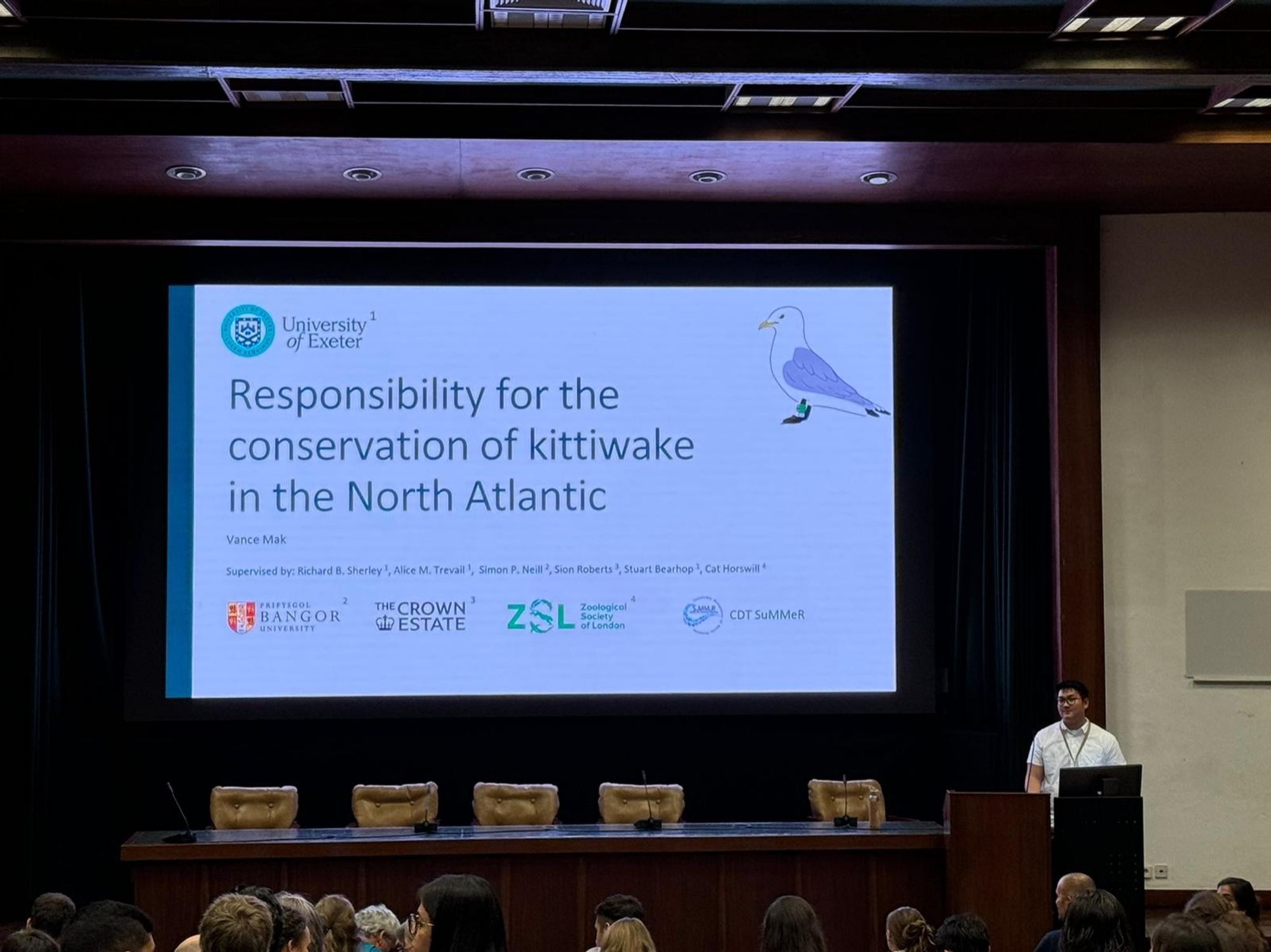 Responsibility for the conservation of kittiwake in the North Atlantic