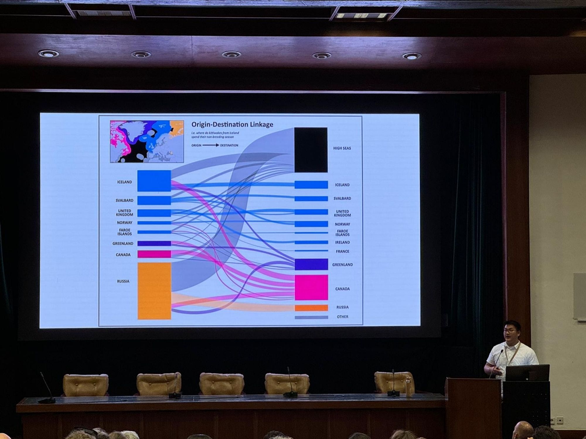 Sankey diagram depicting origin designation linkages of kittiwake populations. Work is still in progress and has since been updated with new data.