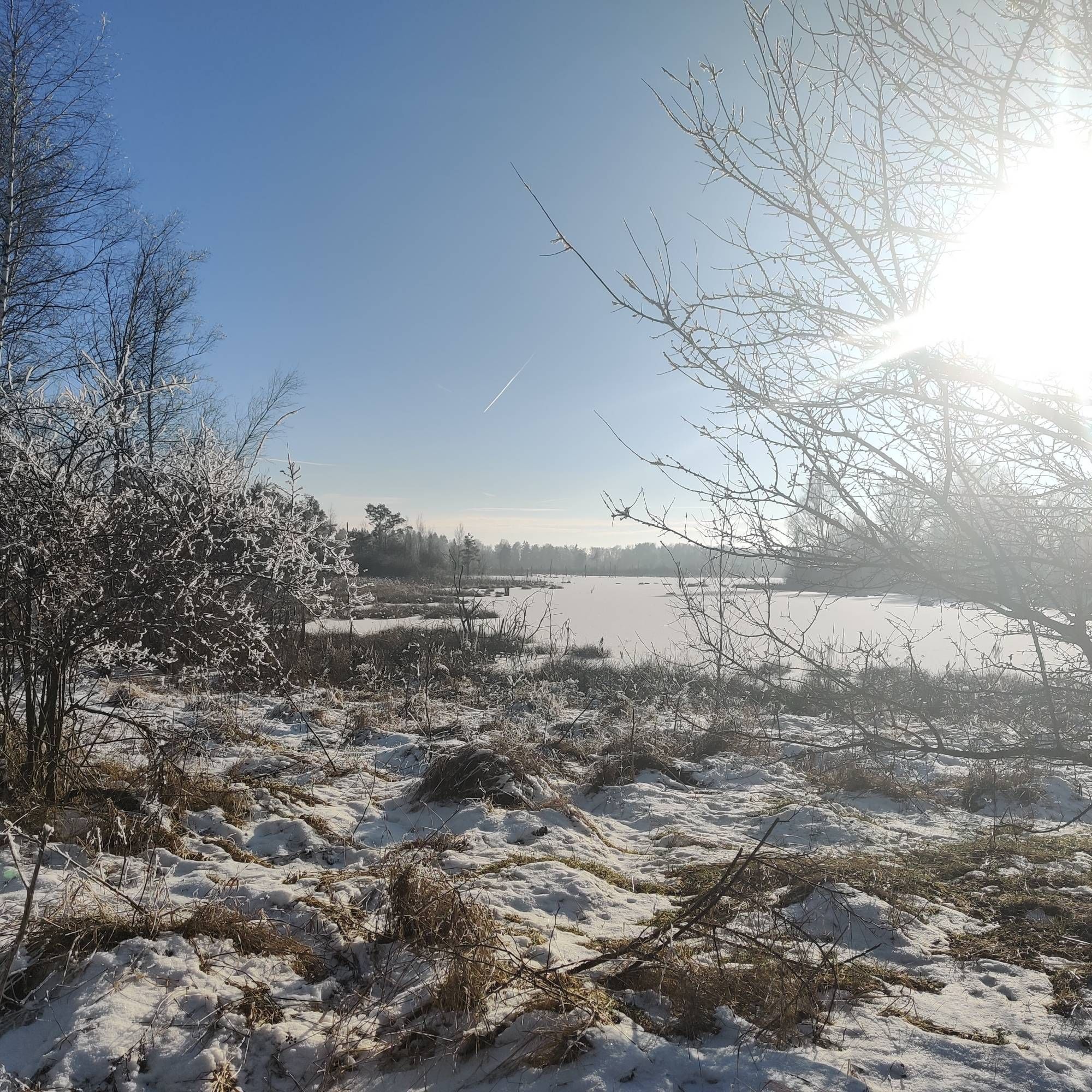 Ausblick Schwenninger Moos