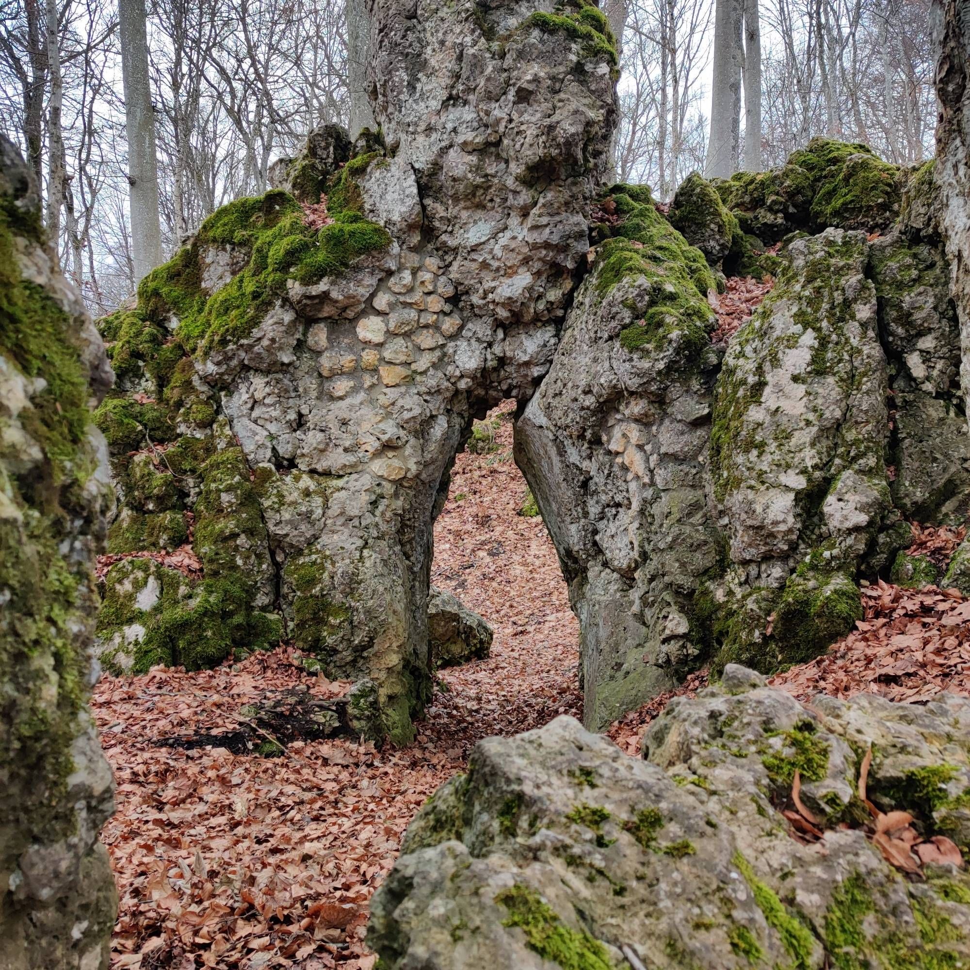 Mauerstück Der Burgruine Lichtenstein