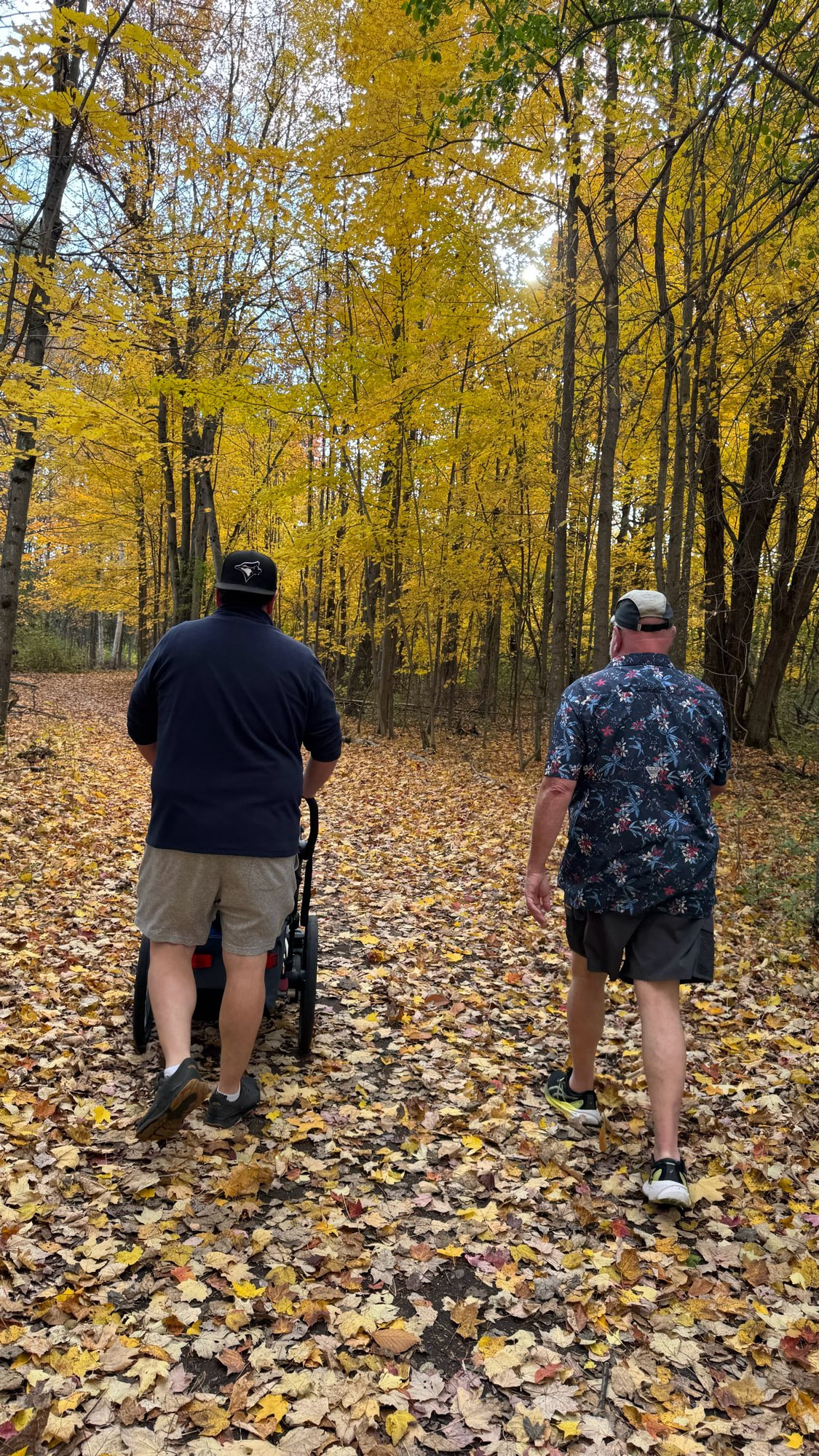 Walkies in yellow foliage