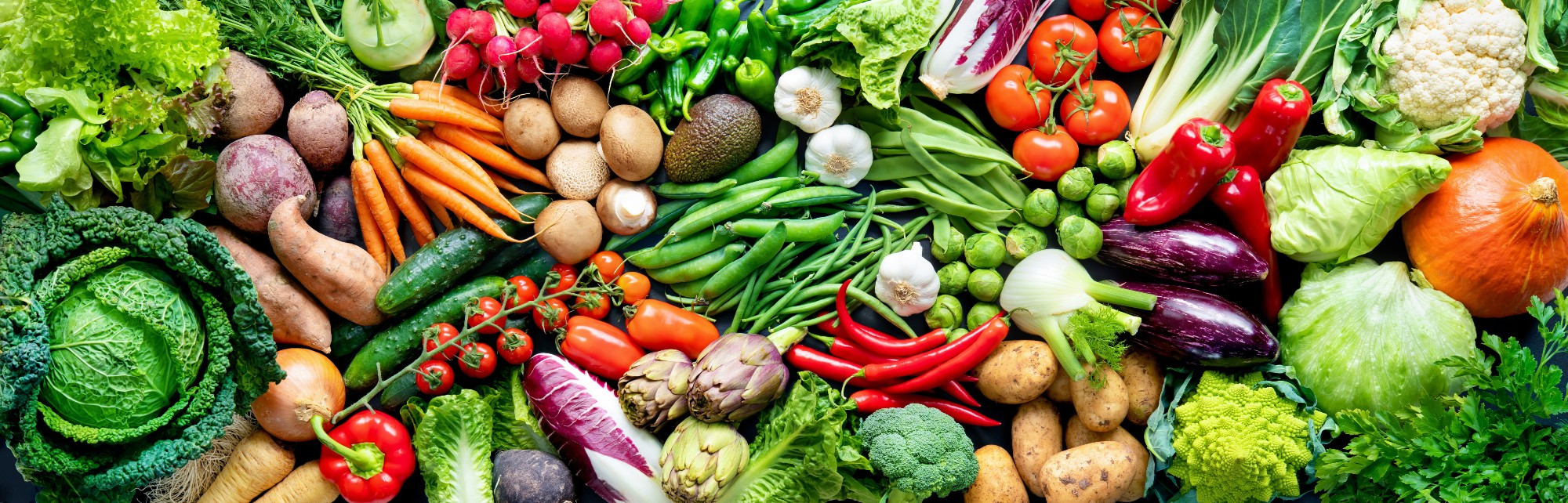 Colourful display of vegetables from carrots, tomatoes, cabbage, chicory, fennel, mushrooms and so on.