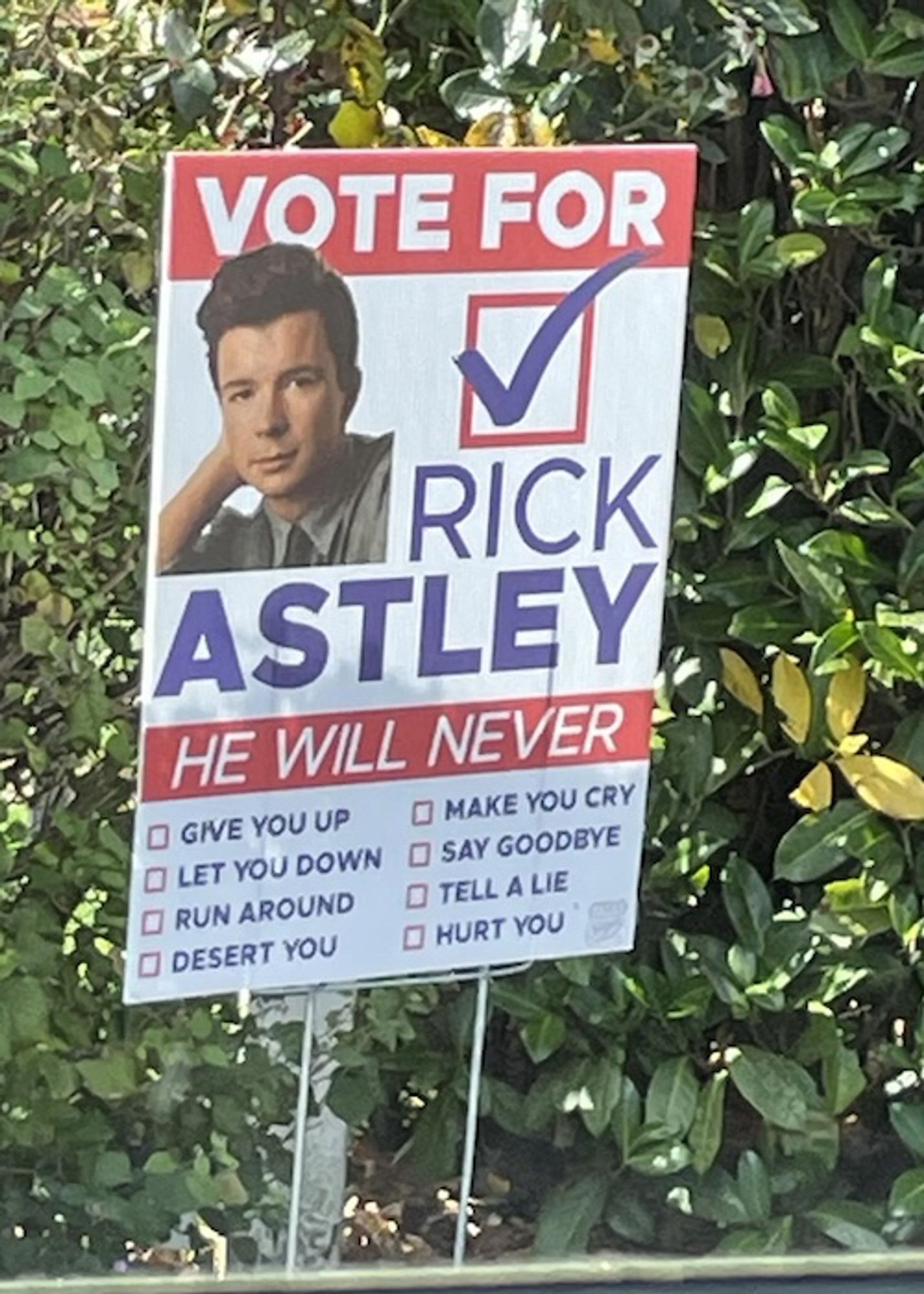 A VOTE FOR RICK ASTLEY campaign sign, that says HE WILL NEVER:
(check policy boxes)
Give You UP
Let You Down
Run Around
Desert You
Make You Cry
Say Goodbye
Tell A Lie
Hurt You