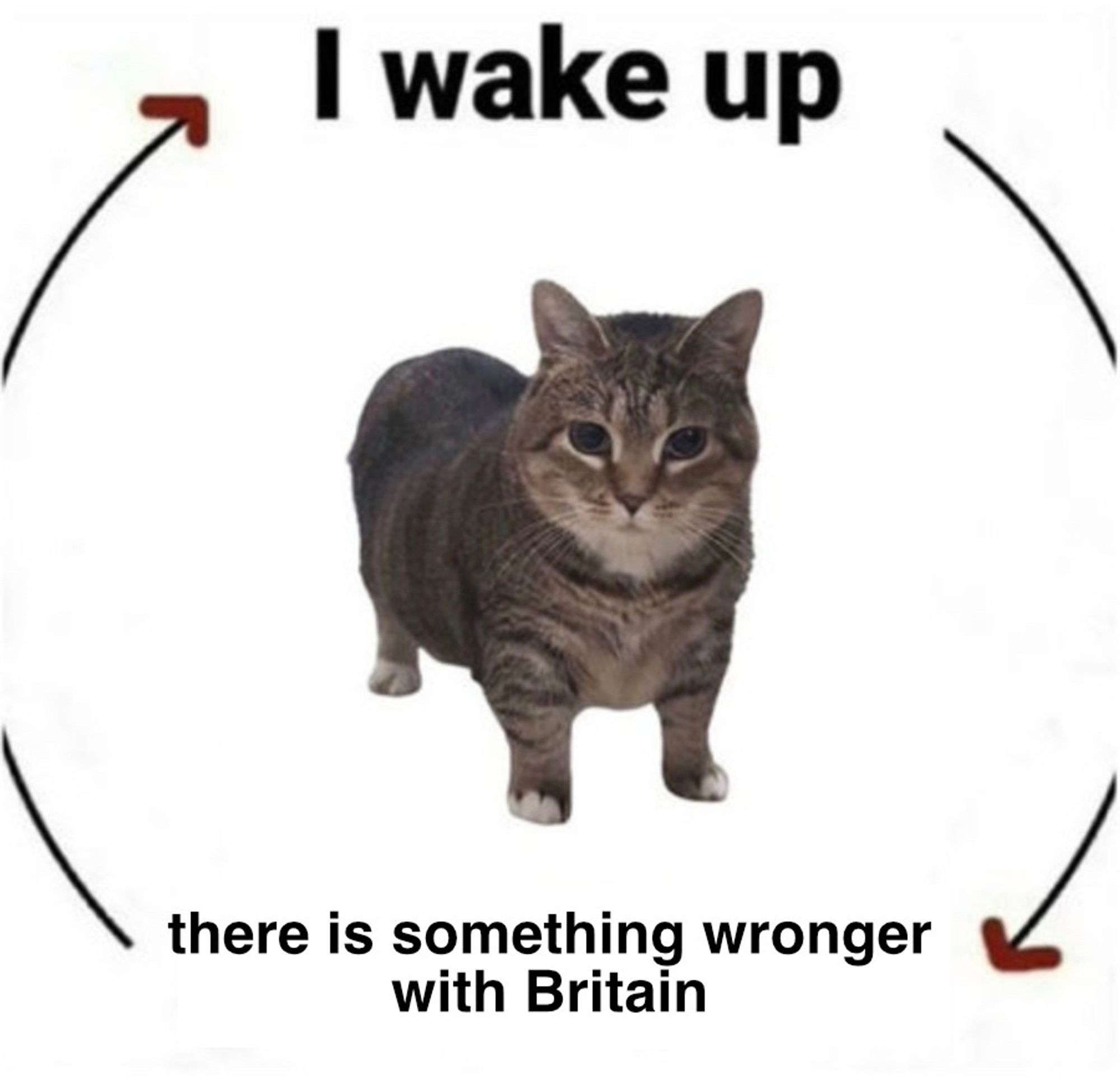 the "I wake up, there is..." meme

photo of a tabby cat with stubby little legs, standing and looking at the camera, on a white background.

top text: "I wake up"
bottom text: "there is something wronger with Britain"

there are two circular arrows between the text, going around the cat