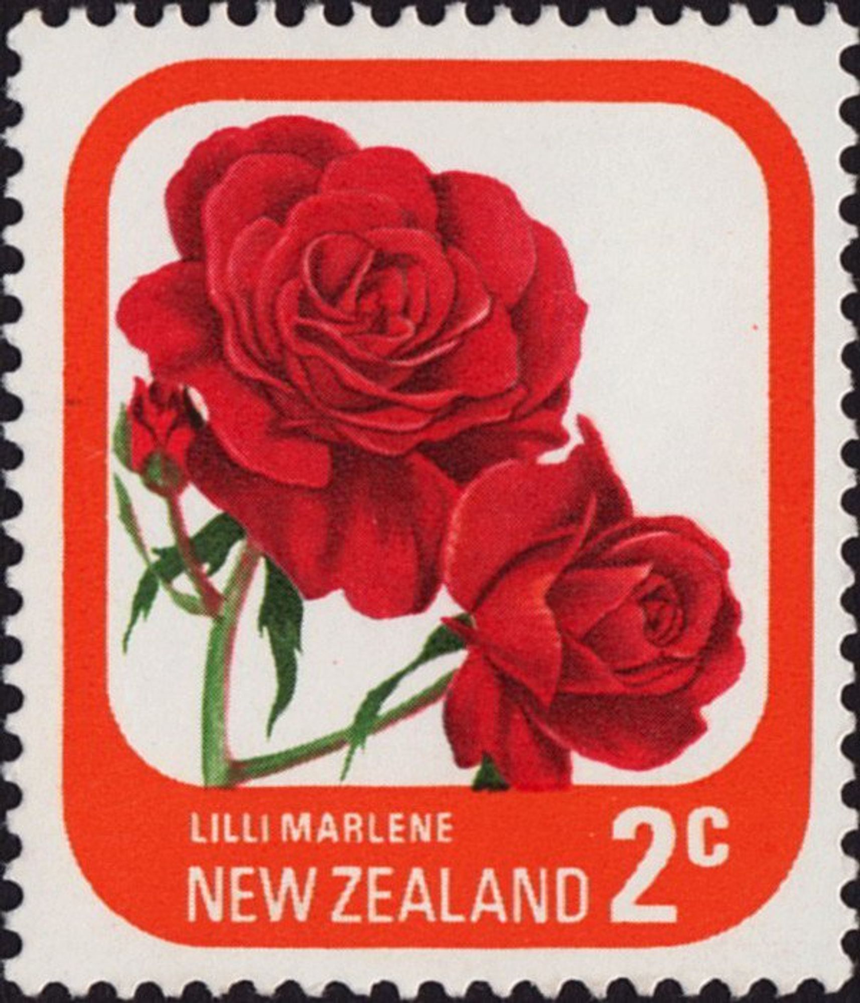 A stamp with red border and two bright, red roses, and one yet to open
The text says the artist is "Lilli Marlene", and it is a New Zealand 2c stamp - which has not been in circulation for more than 30 years