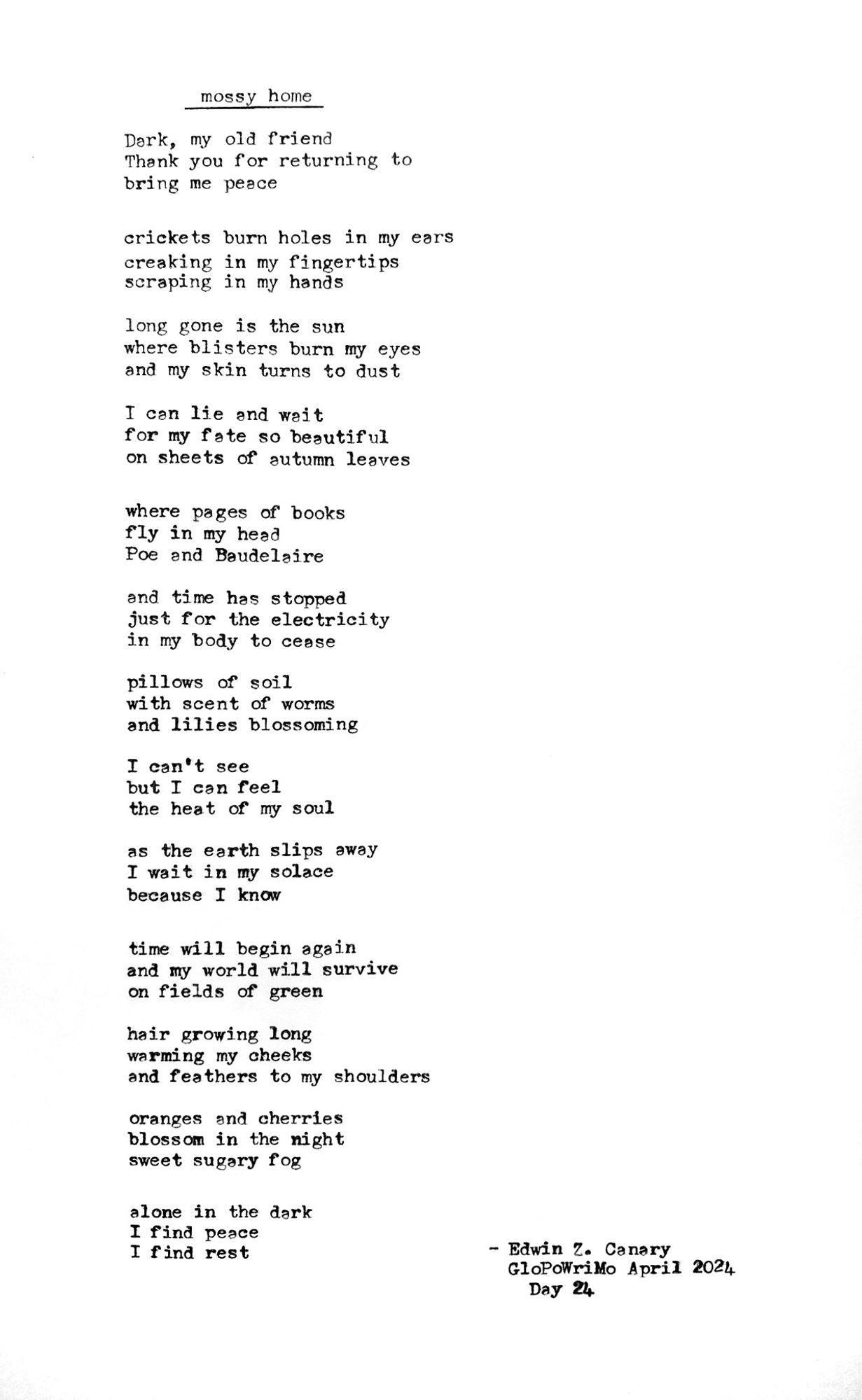 Poem title: mossy home

Poem follows:
Dark, my old friend
Thank you for returning to
bring me peace 

crickets burn holes in my ears
creaking in my fingertips
scraping in my hands

long gone is the sun
where blisters burn my eyes
and my skin turns to dust 

I can lie and wait
for my fate so beautiful
on sheets of autumn leaves

where pages of books
fly in my head
Poe and Baudelaire 

and time has stopped
just for the electricity
in my body to cease

pillows of soil
with scent of worms
and lilies blossoming

I can’t see
but I can feel
the heat of my soul

as the earth slips away
I wait in my solace
because I know

time will begin again
and my world will survive
on fields of green

hair growing long
warming my cheeks
and feathers to my shoulders

oranges and cherries
blossom in the night
sweet sugary fog

alone in the dark
I find peace
I find rest