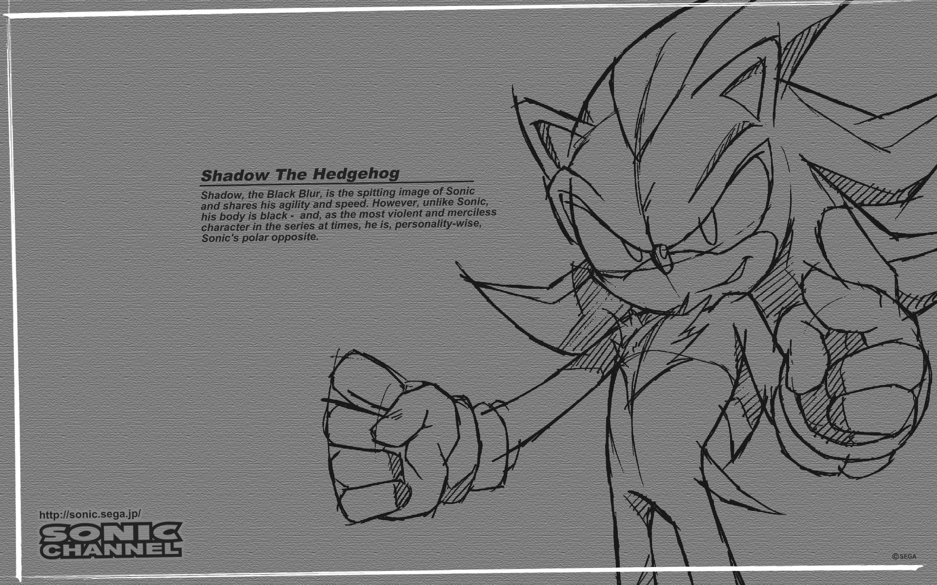 Sonic channel character bio from November 2008 of Shadow the Hedgehog, colourless. Text reads as follows: Shadow The Hedgehog. Shadow, the Black Blur, is the spitting image of Sonic and shares his agility and speed. However, unlike Sonic, his body is black - and, as the most violent and merciless character in the series at times, he is, personality wise, Sonic's polar opposite.