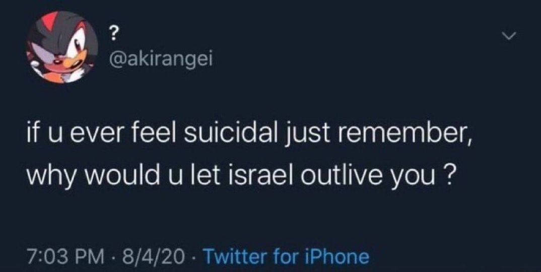 
?
@akirangei
if u ever feel suicidal just remember, why would u let israel outlive you?
7:03 PM 8/4/20. Twitter for iPhone