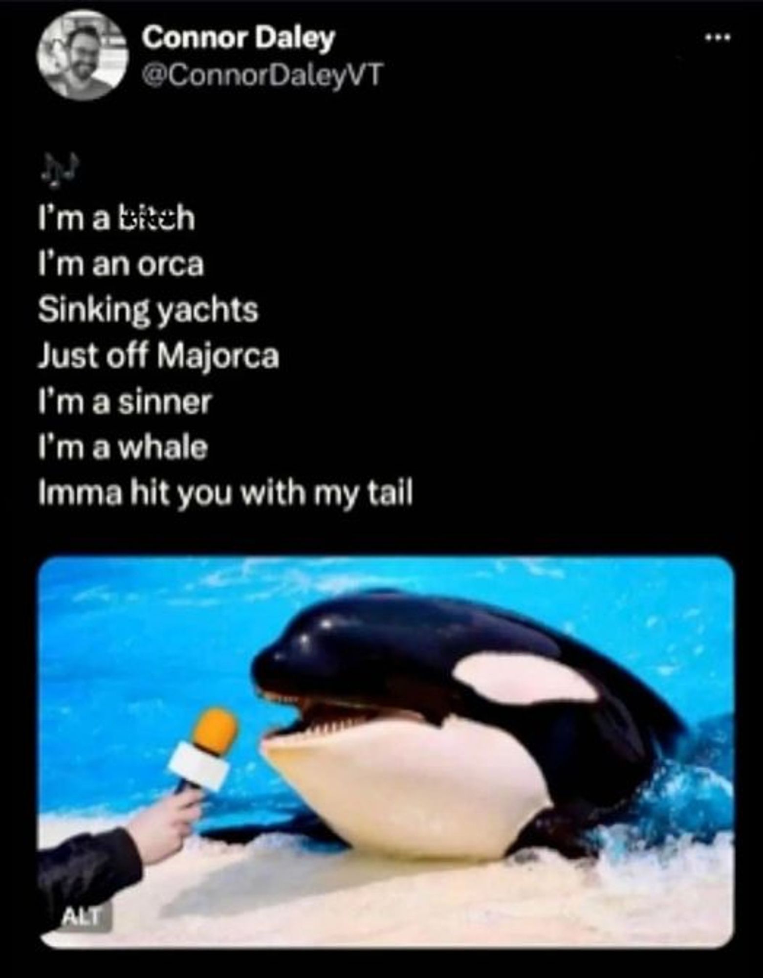 Connor Daley @ConnorDaleyVT
I'm a bitch
I'm an orca Sinking yachts
Just off Majorca I'm a sinner
I'm a whale
Imma hit you with my tail


pic or orca being interviewed