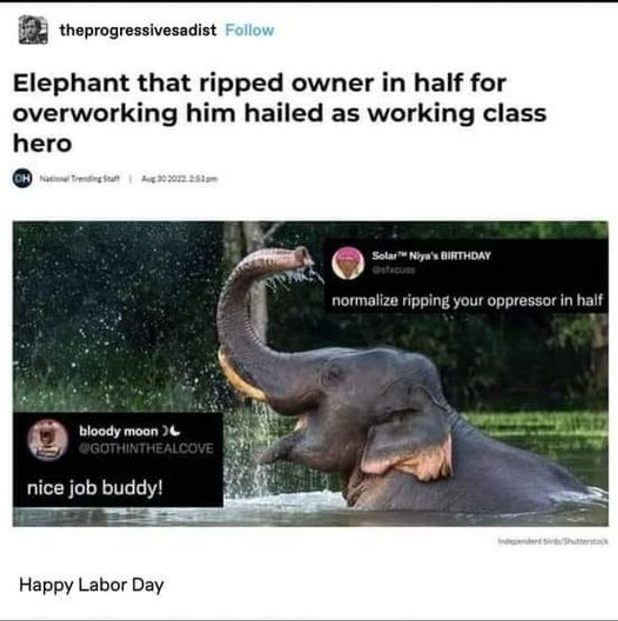 theprogressivesadist Follow
Elephant that ripped owner in half for overworking him hailed as working class
hero
bloody moon @GOTHINTHEALCOVE
nice job buddy!
Happy Labor Day
Solar Niya's BIRTHDAY Osticuss
normalize ripping your oppressor in half