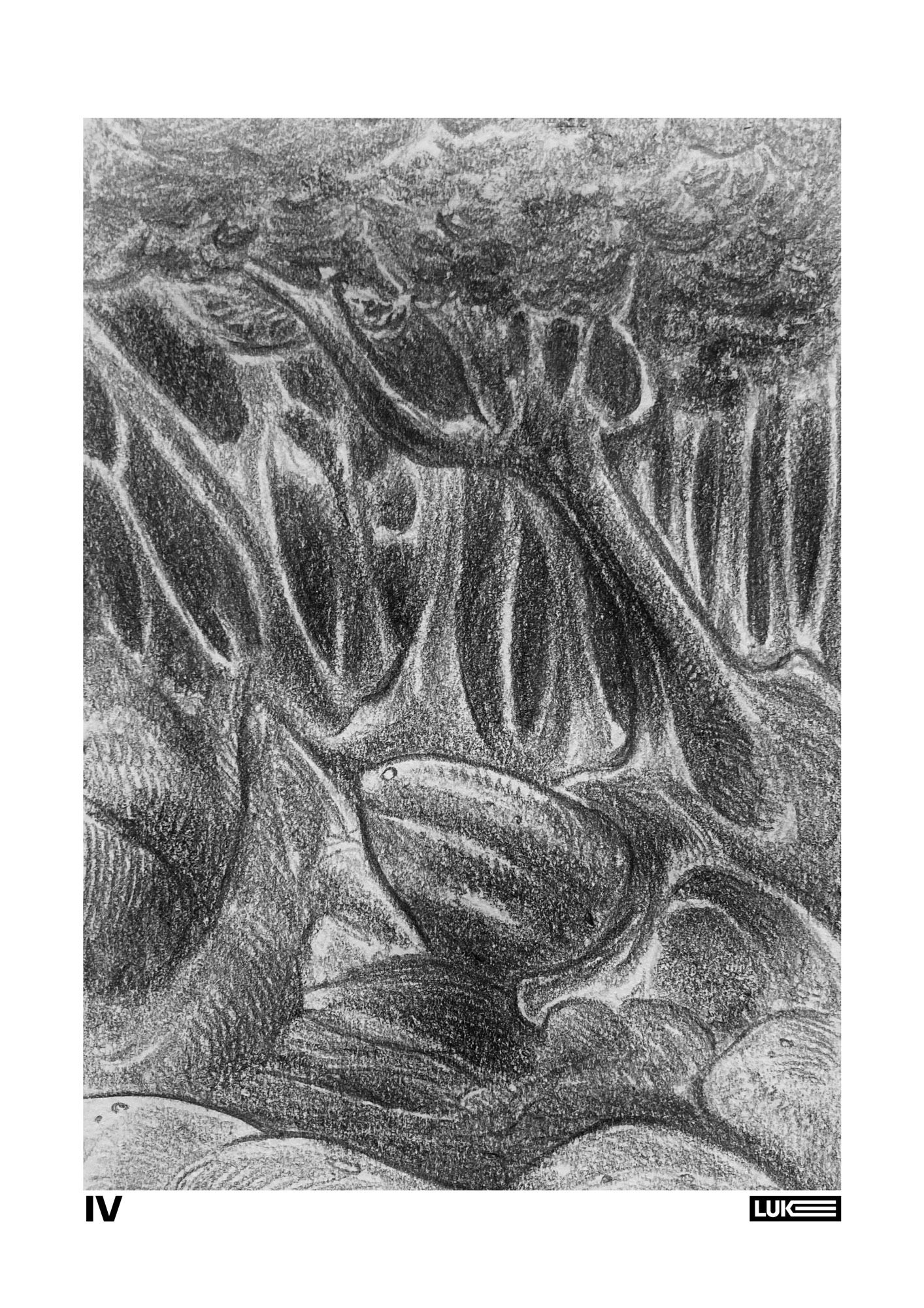 A dark and mysterious forest. A twisting mess of trees, in the foreground a larger tree grows up and around a number of large boulders. Black and white illustration.