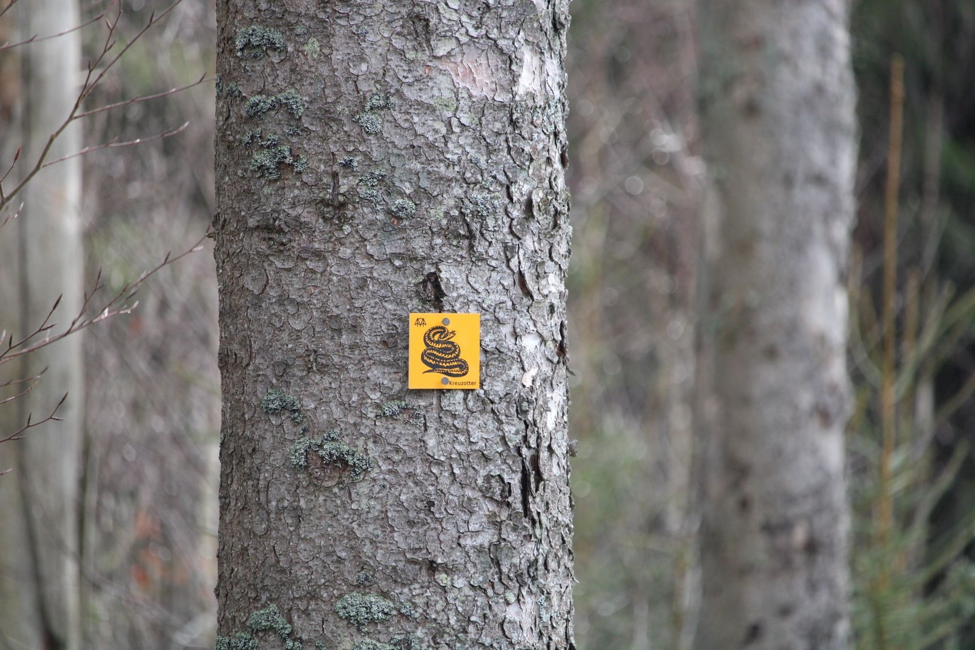 Tree with hiking sign