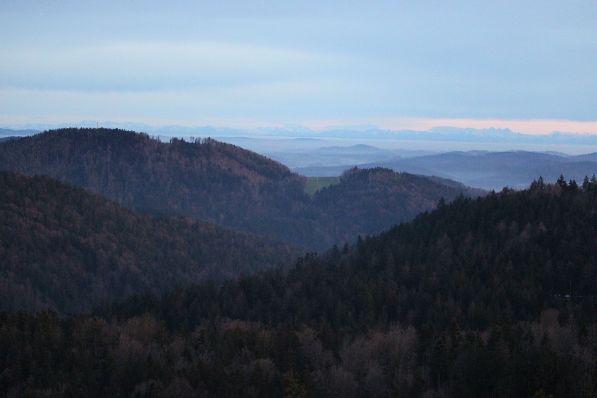 View on mountainbike