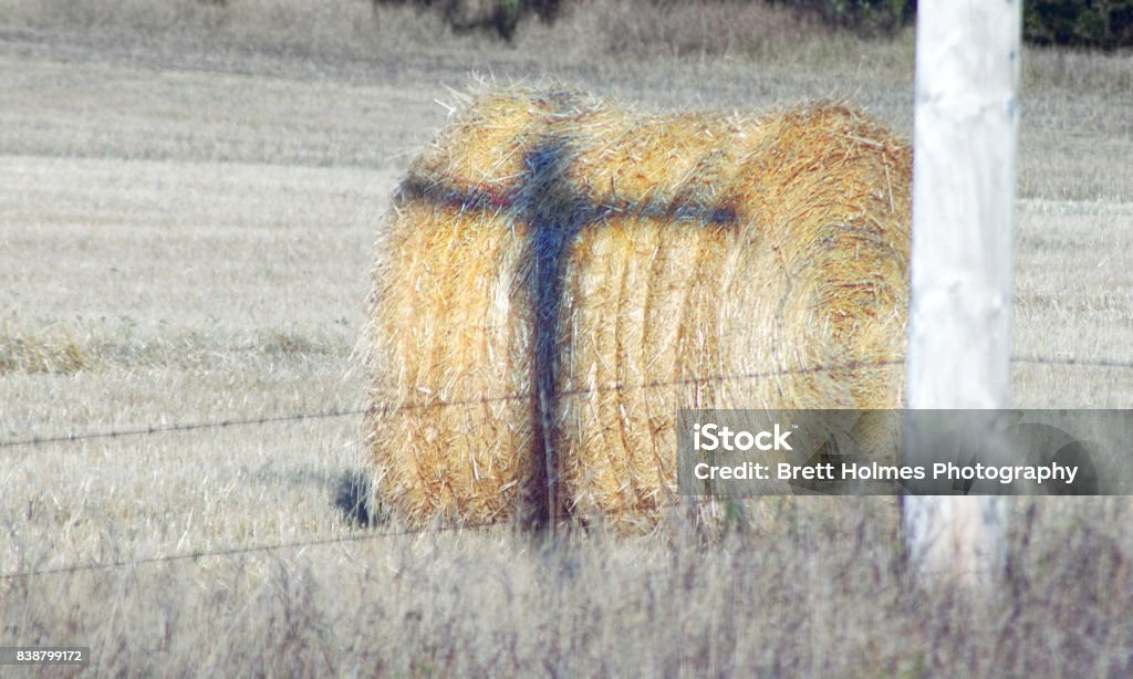 Hay bale with a shadow of a cross cast on it by a telephone pole. 