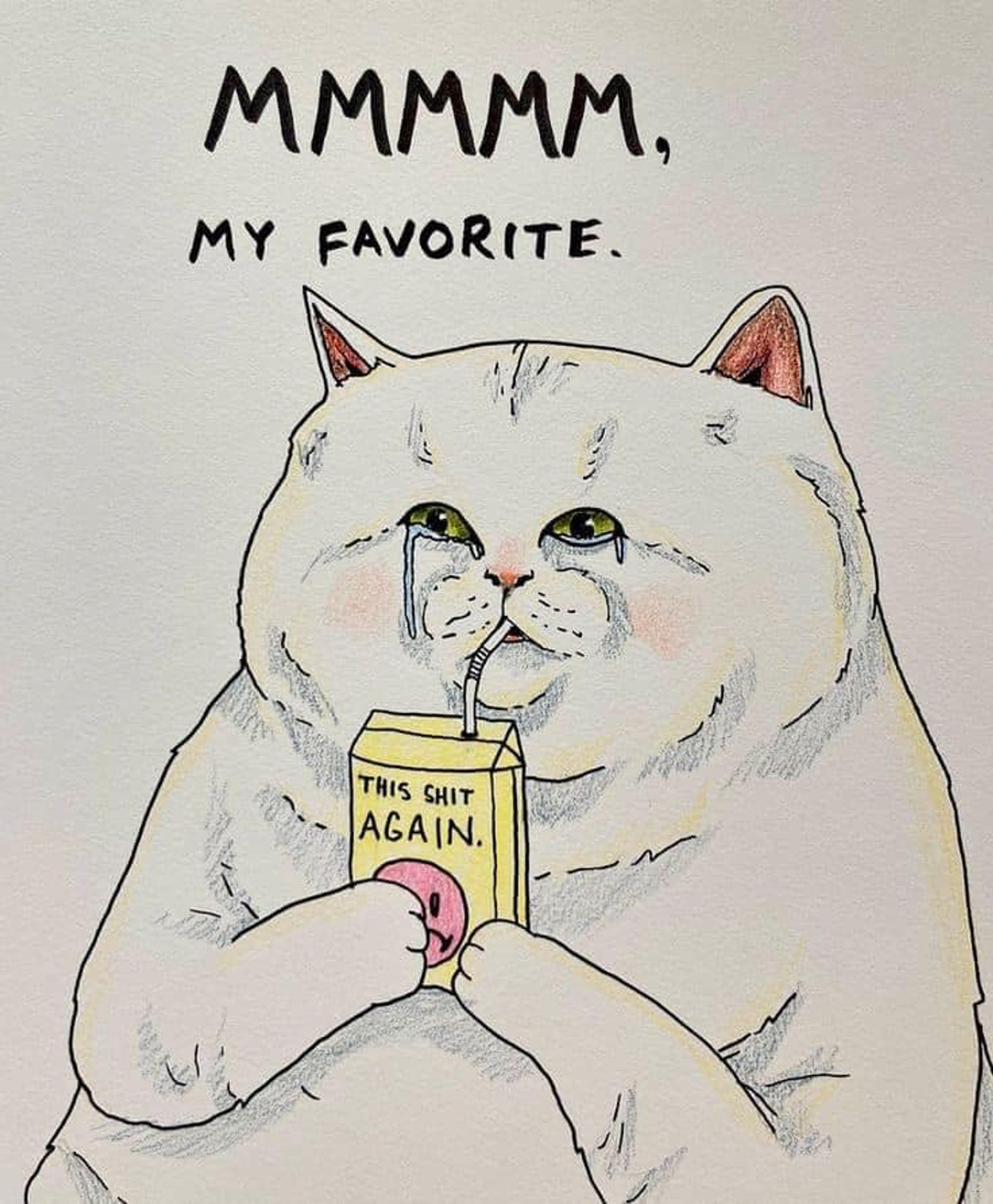 Mmmmm, My favorite

[pic of crying cat drinking from juice box that says "this sh*t again"]