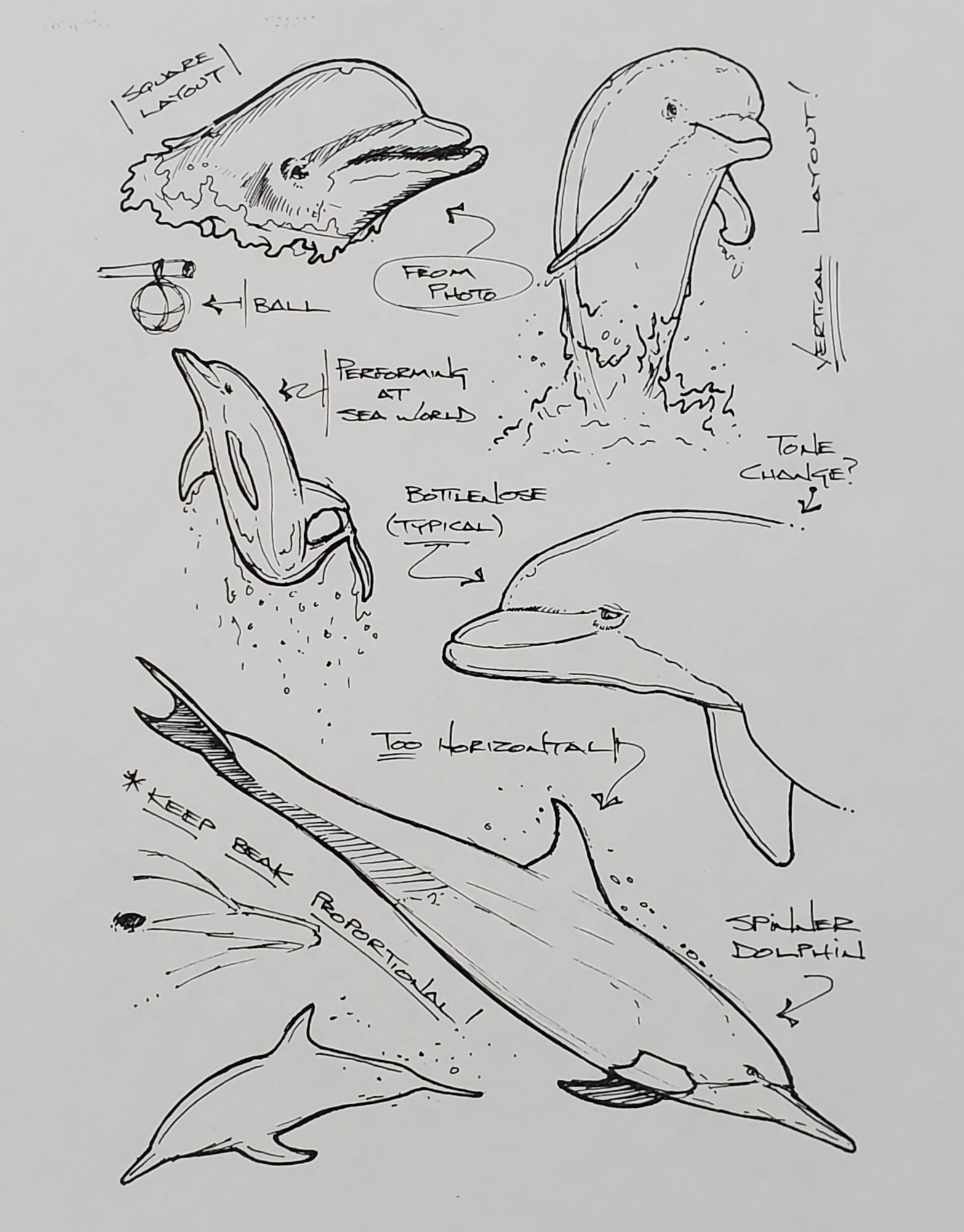 Various dolphin pen sketches