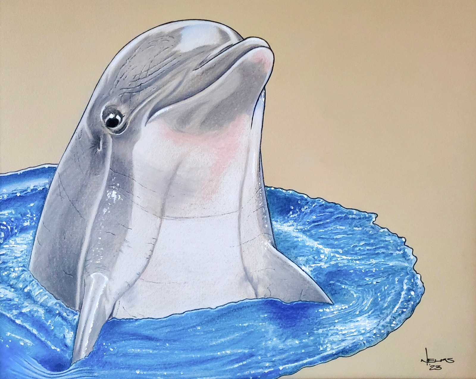 Pastel pencil illustration of a dolphin at the surface