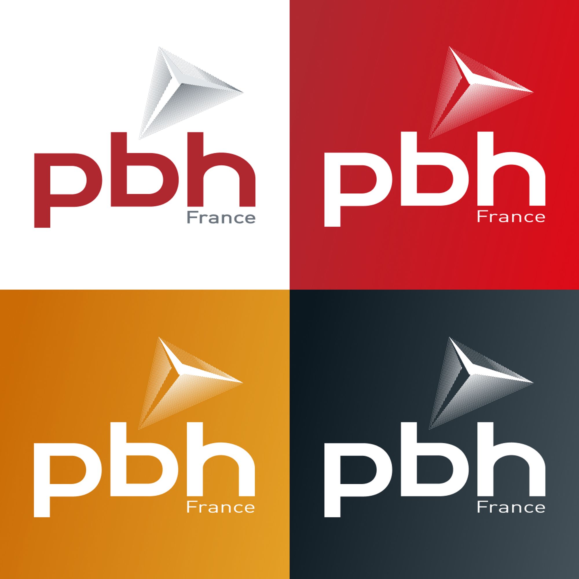 Logo variations of PBH France – Showcasing the updated PBH France logo in different color schemes, designed to reflect the brand’s expertise, innovation, and reliability in the printing and packaging industry.