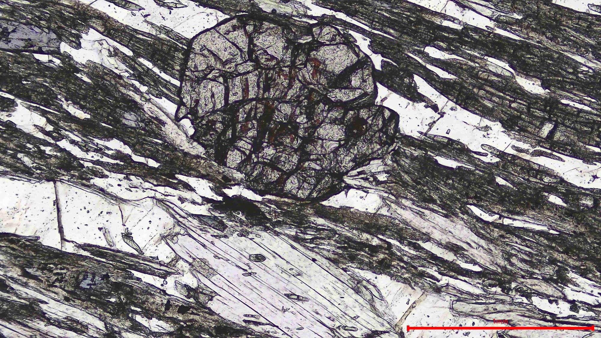 Rock microscope slide, or thin section, showing a metamorphic rock from Syros, Greece. Images shows white, grey, blue, and brown minerals. Scale bar indicating how large 1mm is in this field of view is placed in the bottom right.