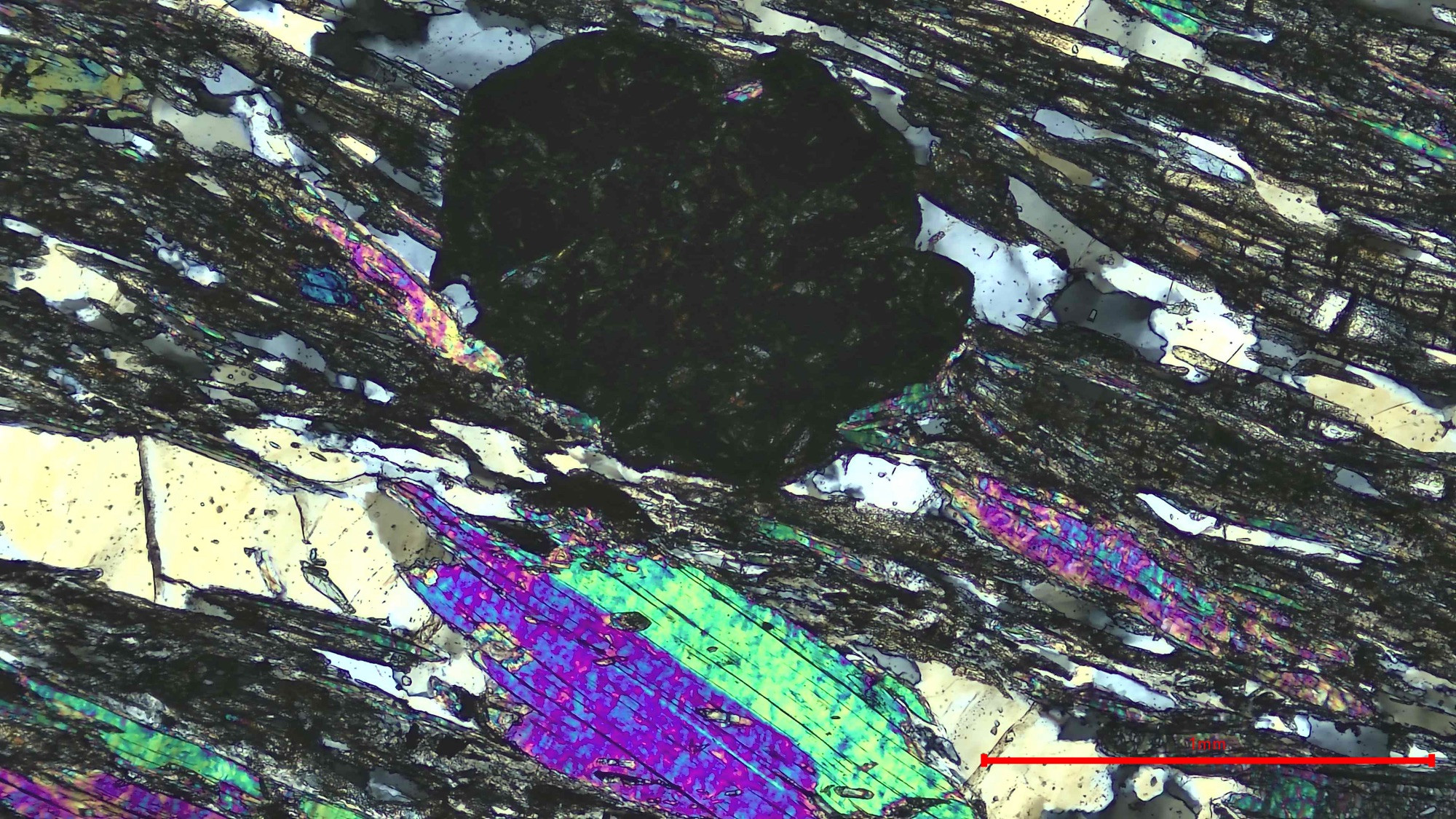 Rock microscope slide, or thin section, showing a metamorphic rock from Syros, Greece. Images shows black, grey, yellow, green, and purple minerals. Picture taken in cross-polarized light. Scale bar indicating how large 1mm is in this field of view is placed in the bottom right.