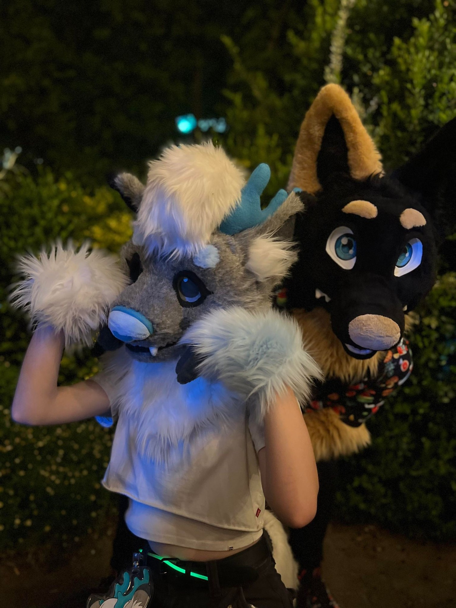 Photograph of me and a friend posed outside wearing fursuits. On the left is me wearing my fursona reindeer head and paws holding my hands to my cheek and looking cute. Peering over my shoulder is ZenoTPillow wearing Gauge The Dinosaur's dog head and paws. The dog suit looks like a German shepherd.