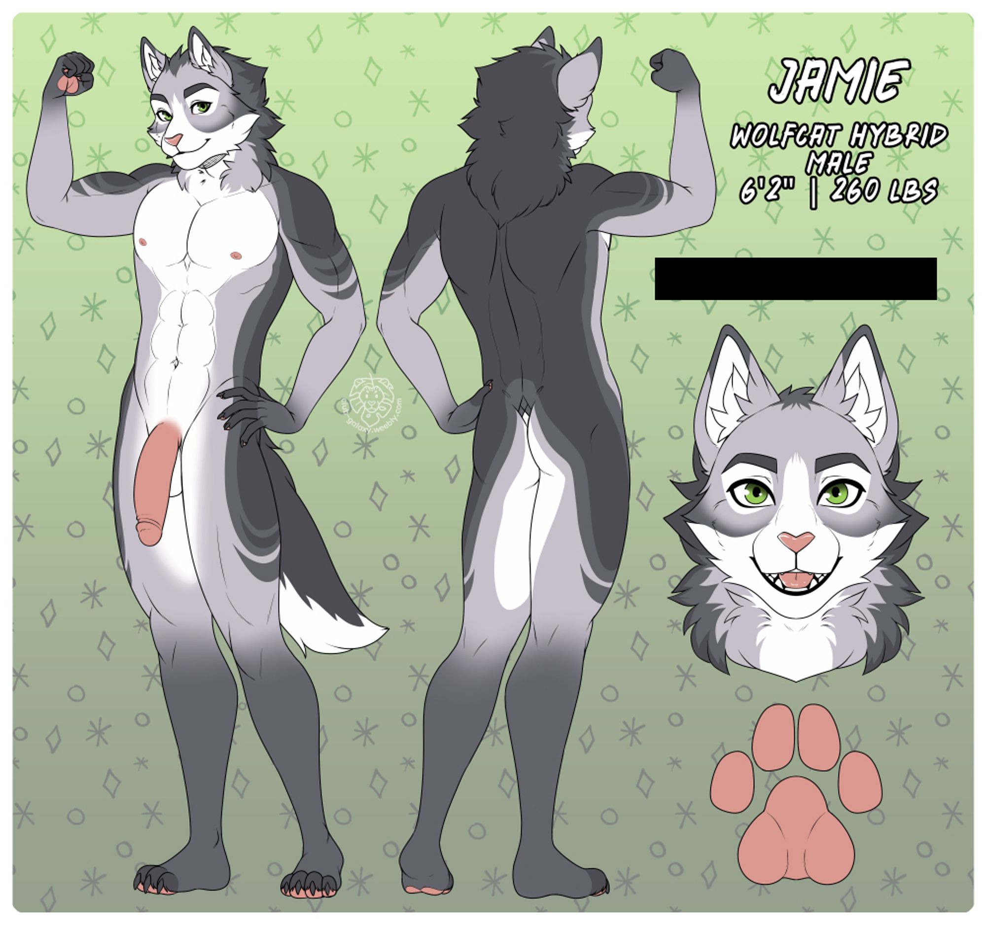 a reference sheet of a grey and white male anthro cat with a large penis