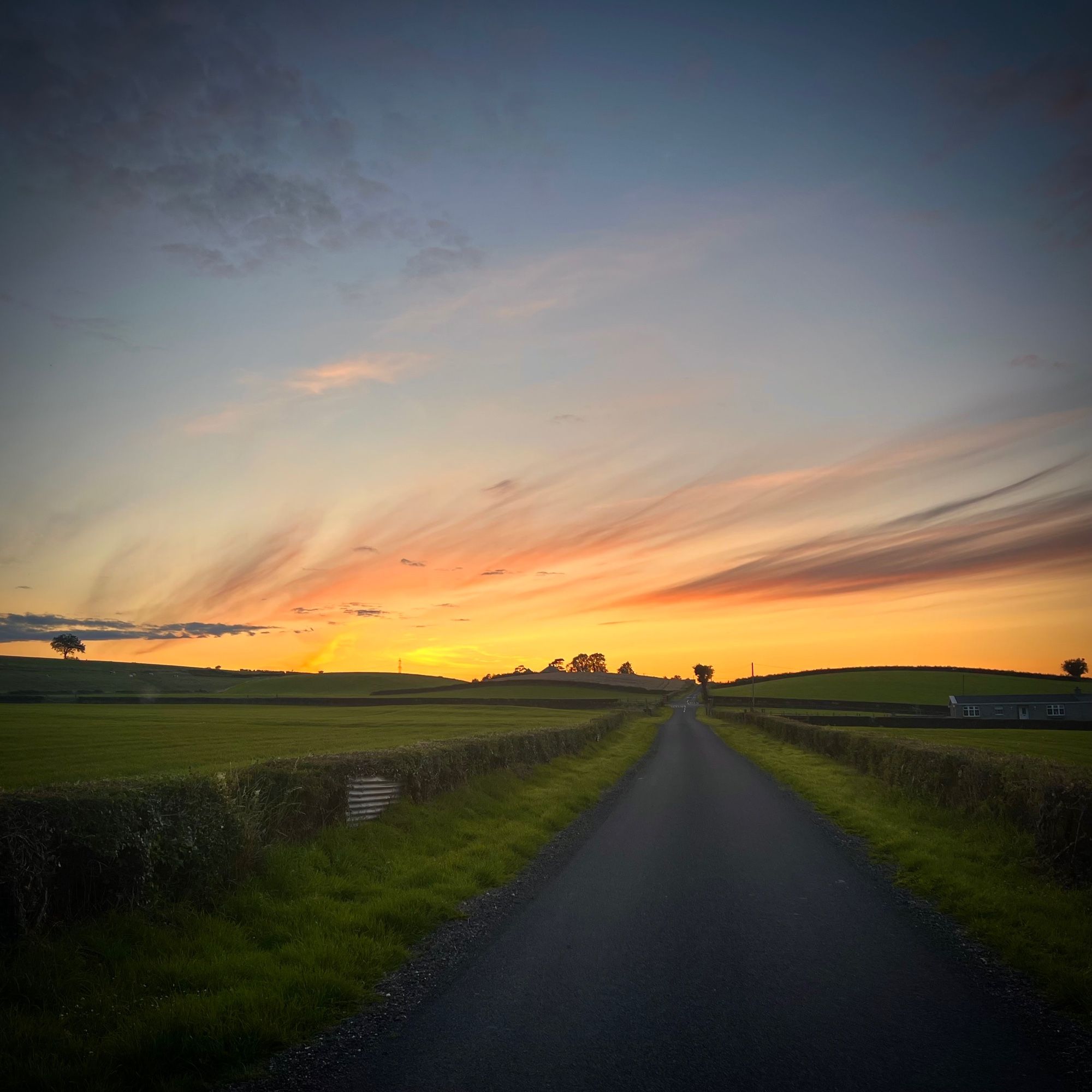 Sunset on my lane