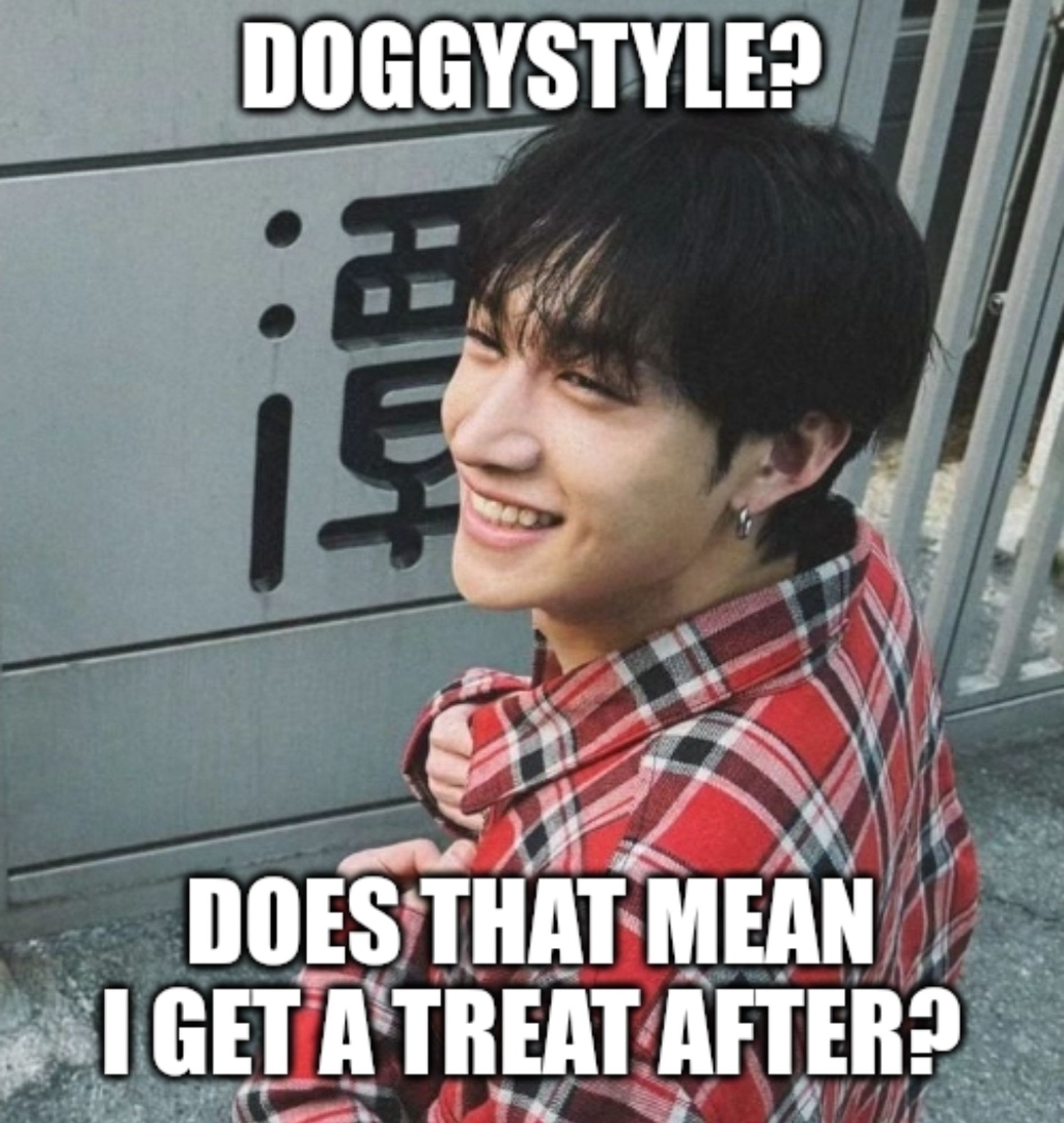 a photo of bang chan from stray kids with the text "doggystyle? does that mwan i get a treat after?"