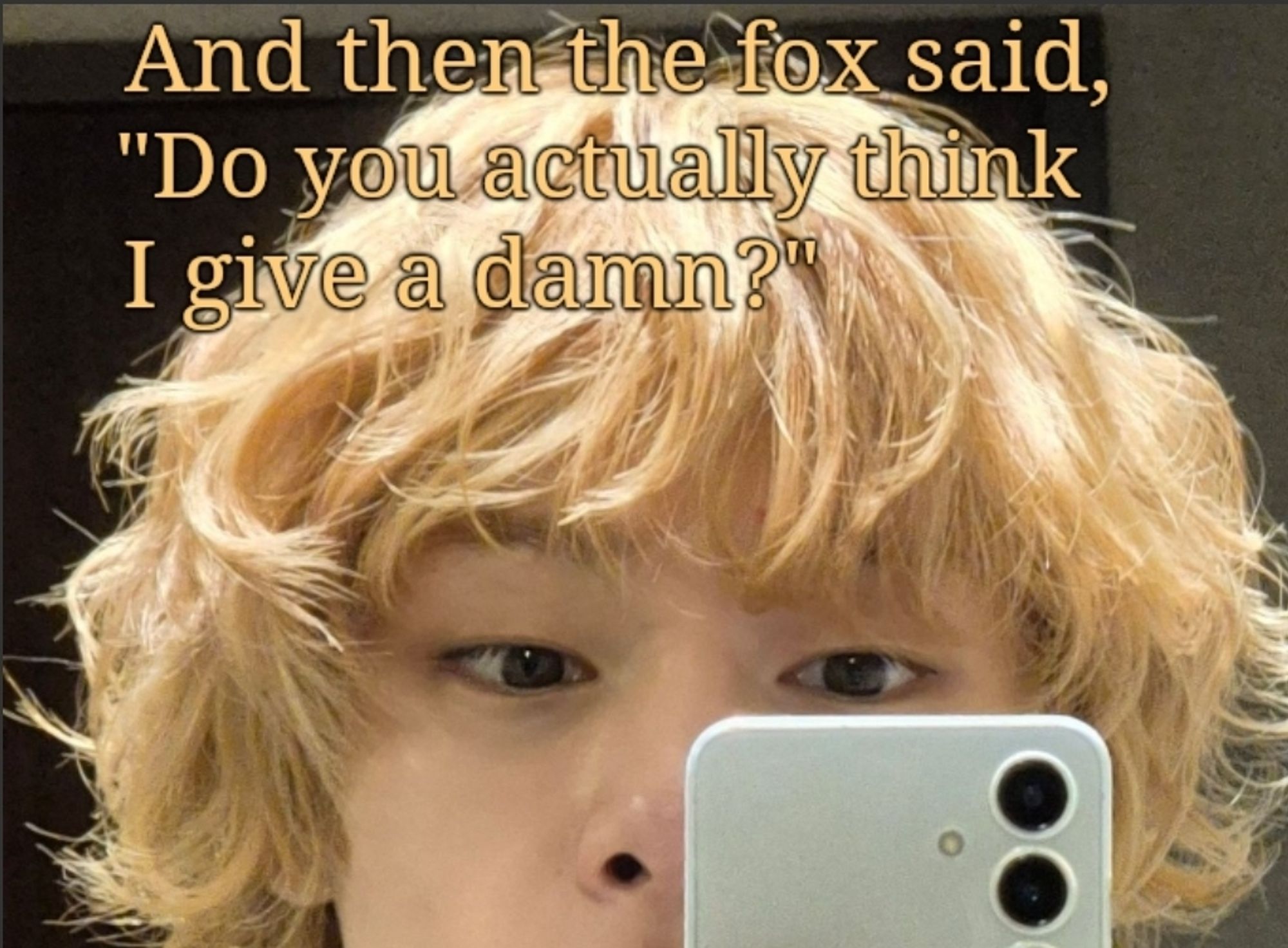 A photo of Jeongin (cropped above the mouth) with text that says, "And then the fox said, "Do you actually think I give a damn?"