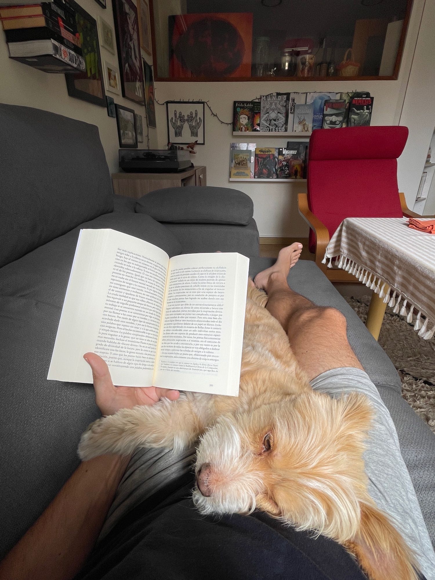 Hombre tumbado leyendo en compañía de su perrito