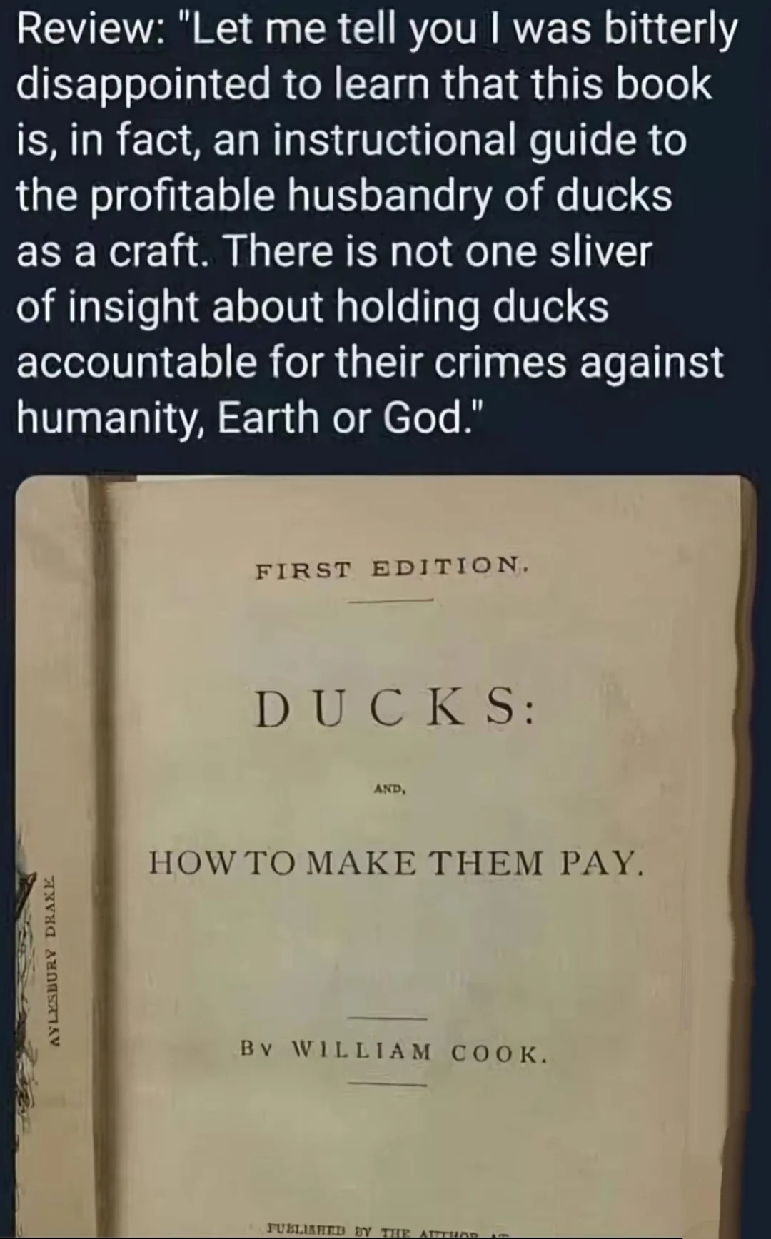 A review of 'Ducks: How to Make Them Pay', which reads: 'Let me tell you I was bitterly disappointed to learn that this book is in fact an instructional guide to the profitable husbandry of ducks as a craft. There is not one silver insight about holding ducks accountable for their crimes against humanity, Earth or god'.