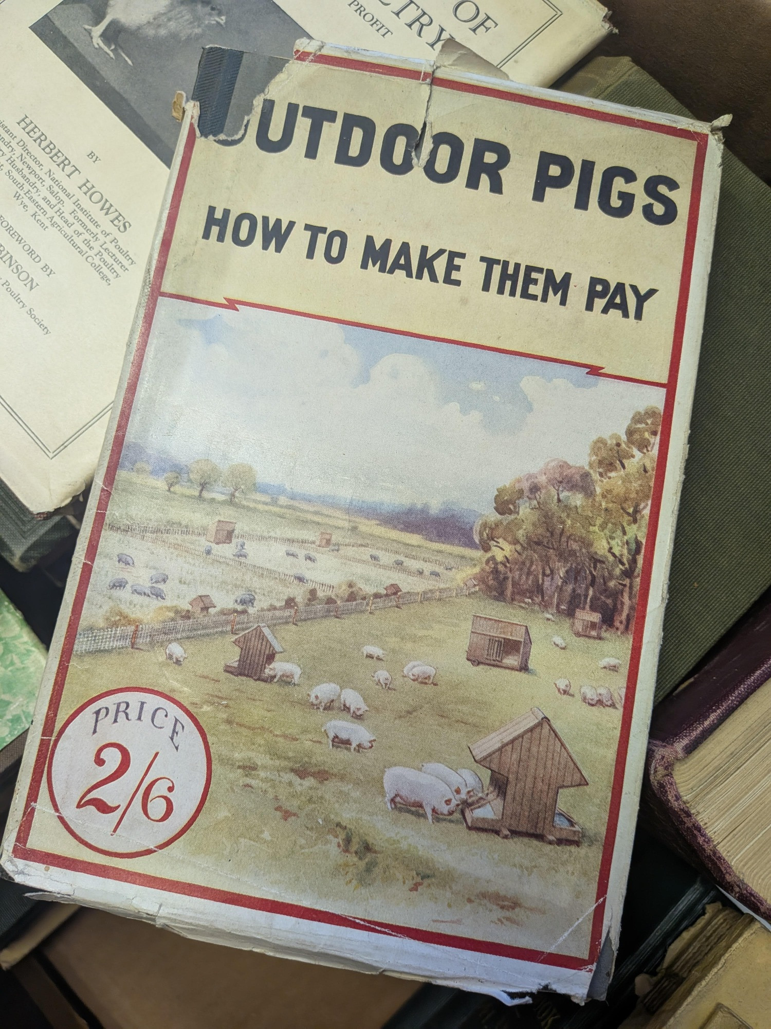 A book titled "Outdoor Pigs: How to Make them Pay."