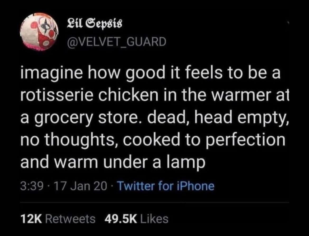 A screenshot of a tweet from @VELVET_GUARD. "imagine how good it feels to be a rotisserie chicken in the warmer at a grocery store. dead, heady empty, no thoughts, cooked to perfection and warm under a lamp"