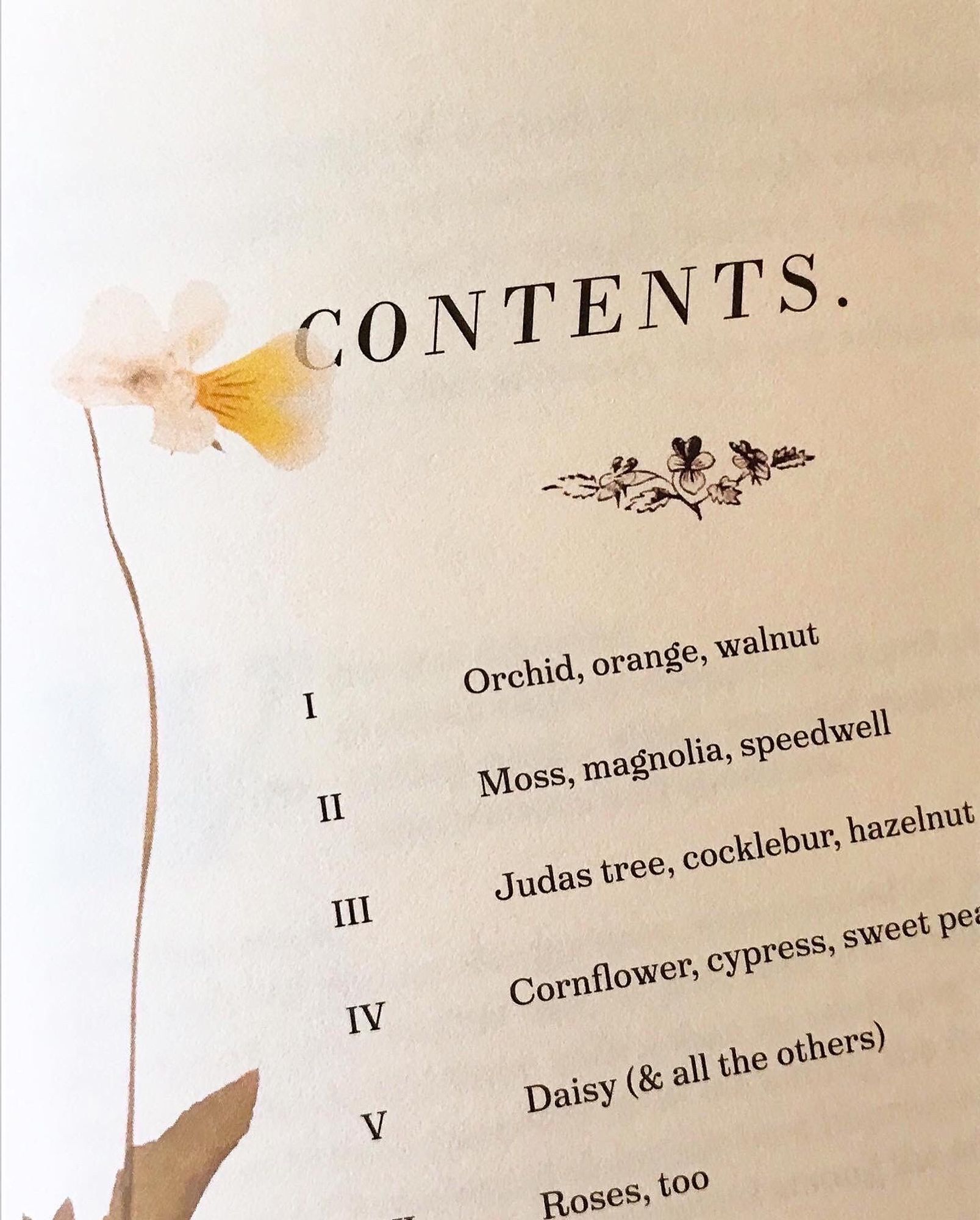 A close-up of the zine’s table of contents, with a photo of a translucent yellow violet seemingly pressed in the book.