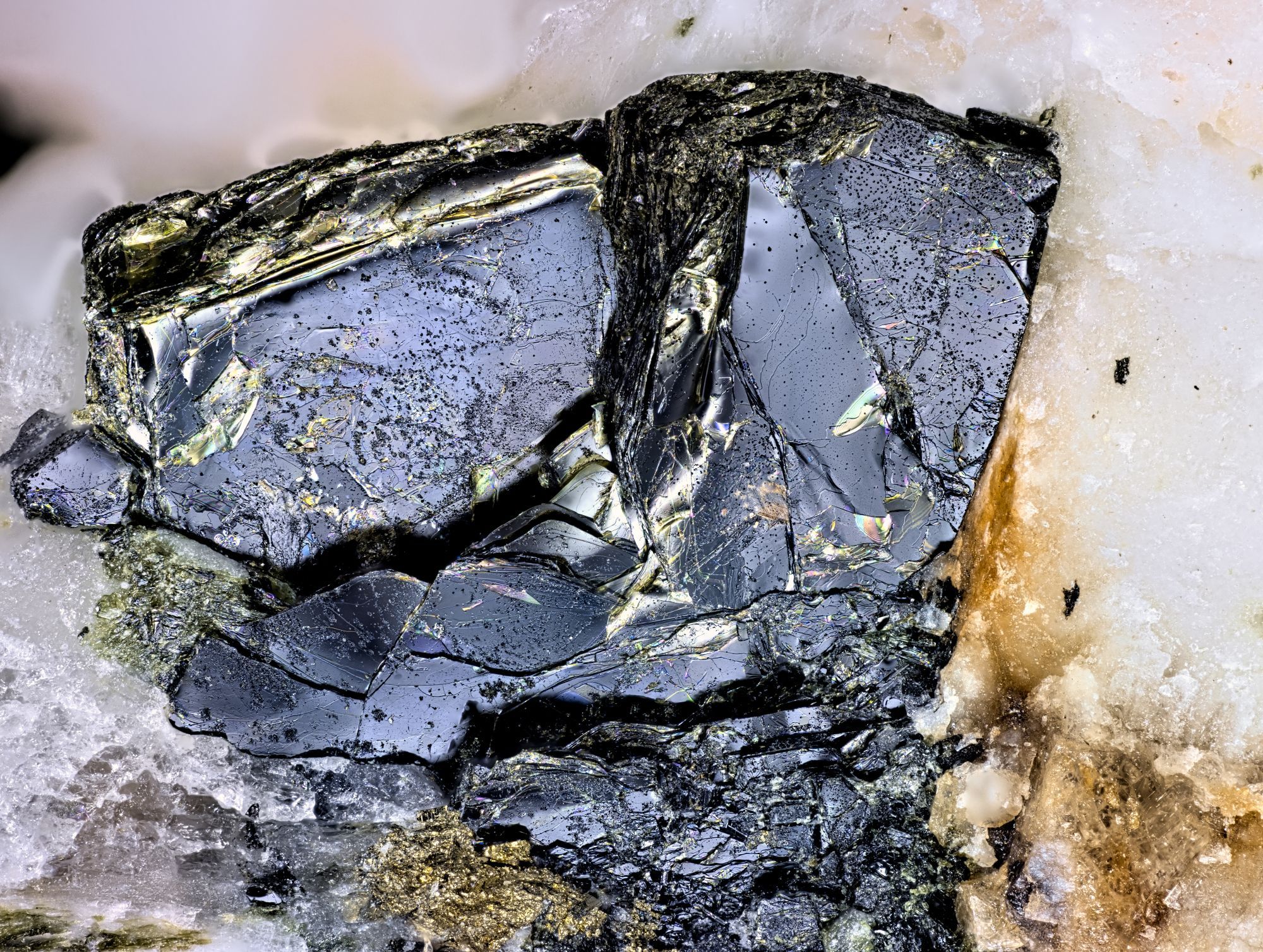 Crude dark brown annite crystal with a bit of pyrite at bottom center.