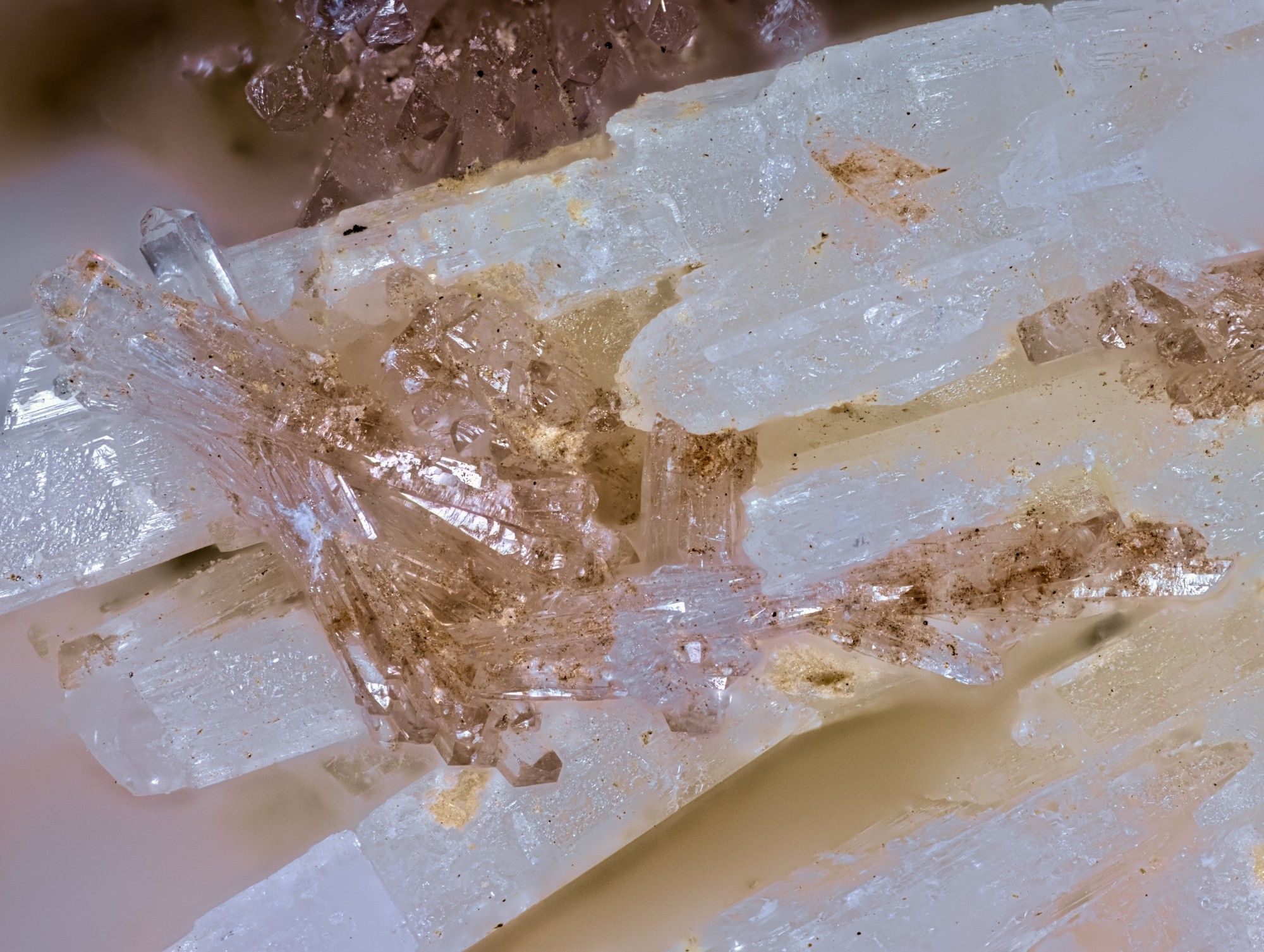 Clusters of pale pink ancylite-Ce on blades of white albite.