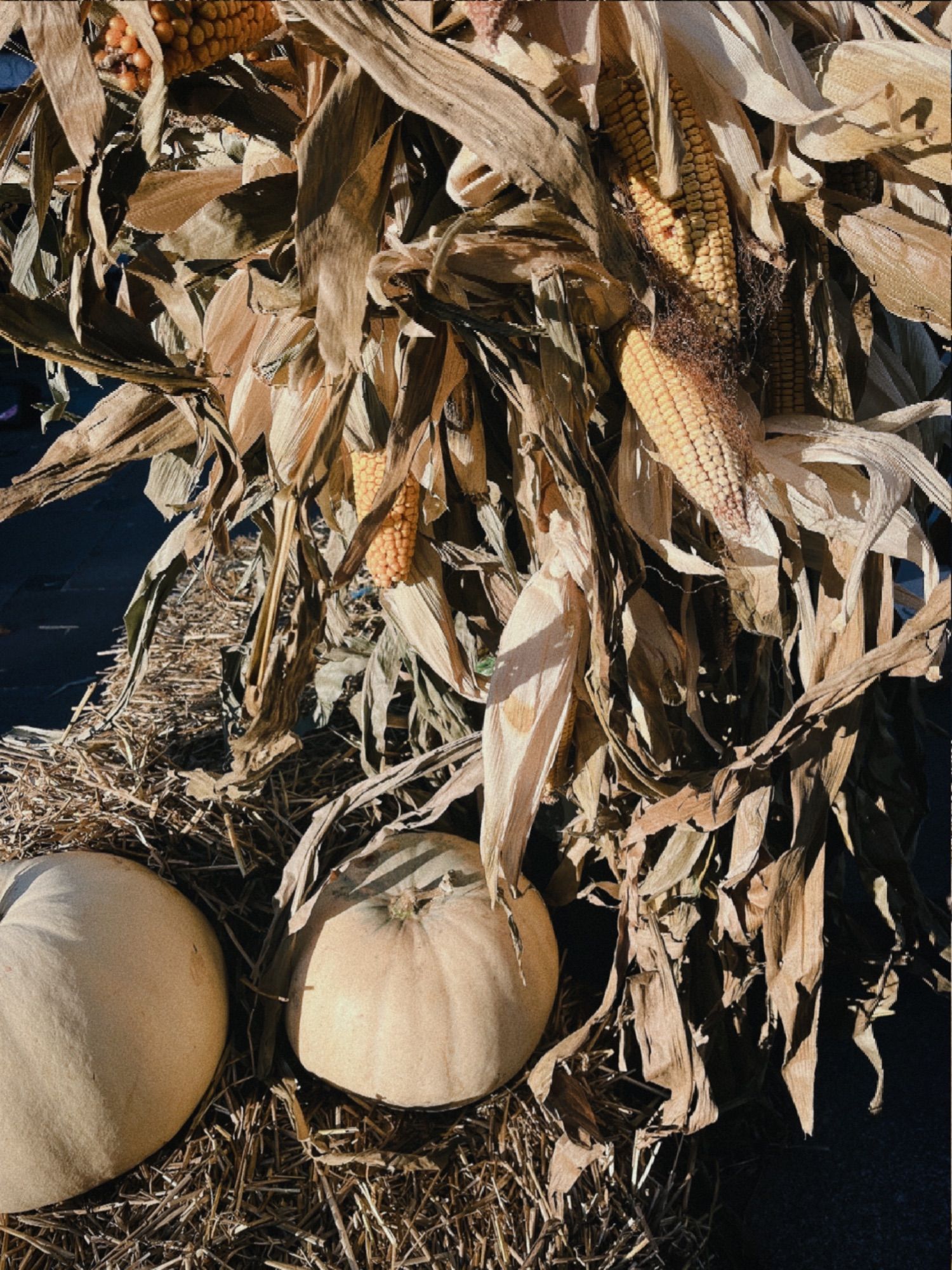 corn and pumpkins piled on top of some hay.