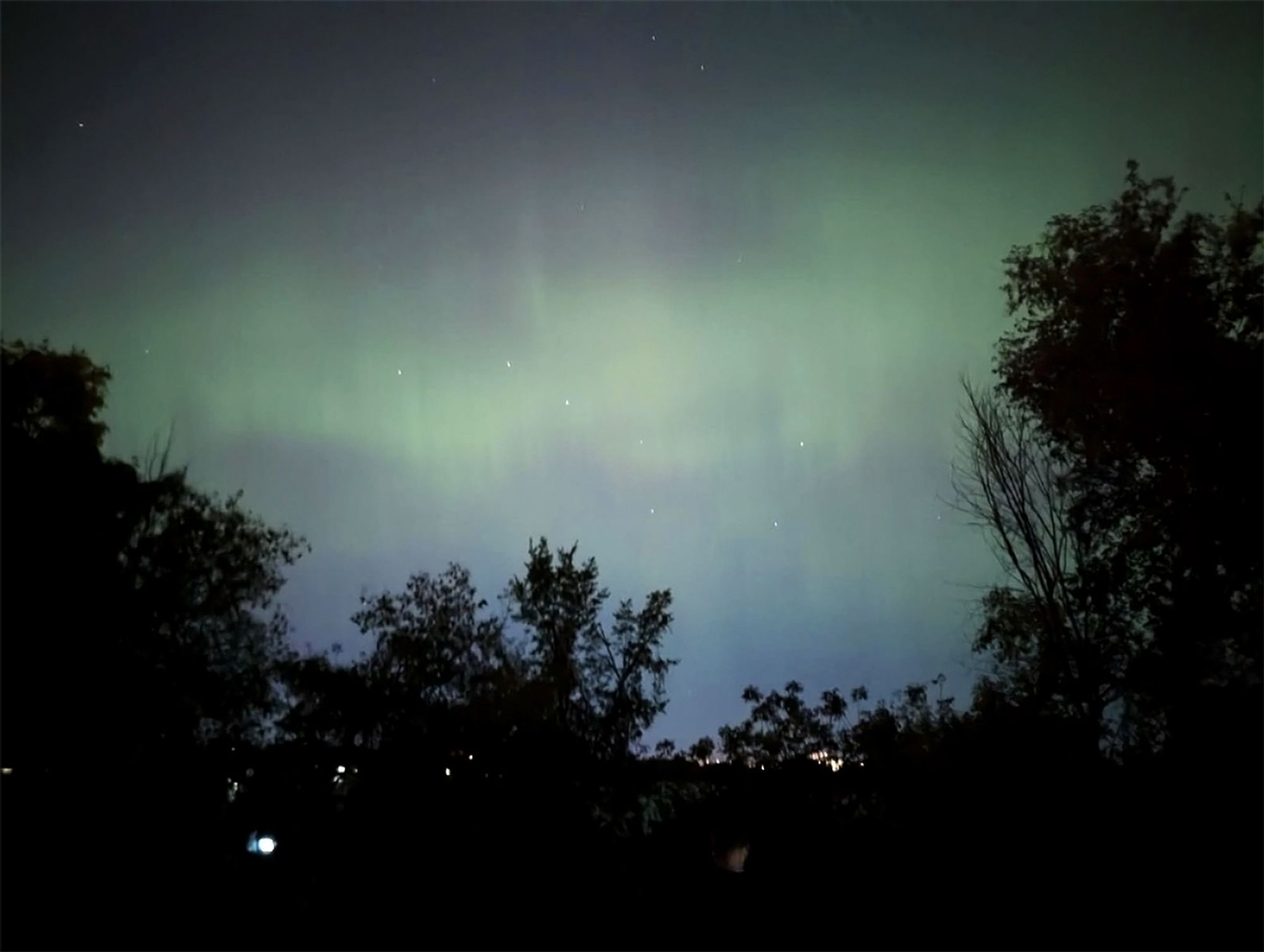 green and blue northern lights over a dark treeline