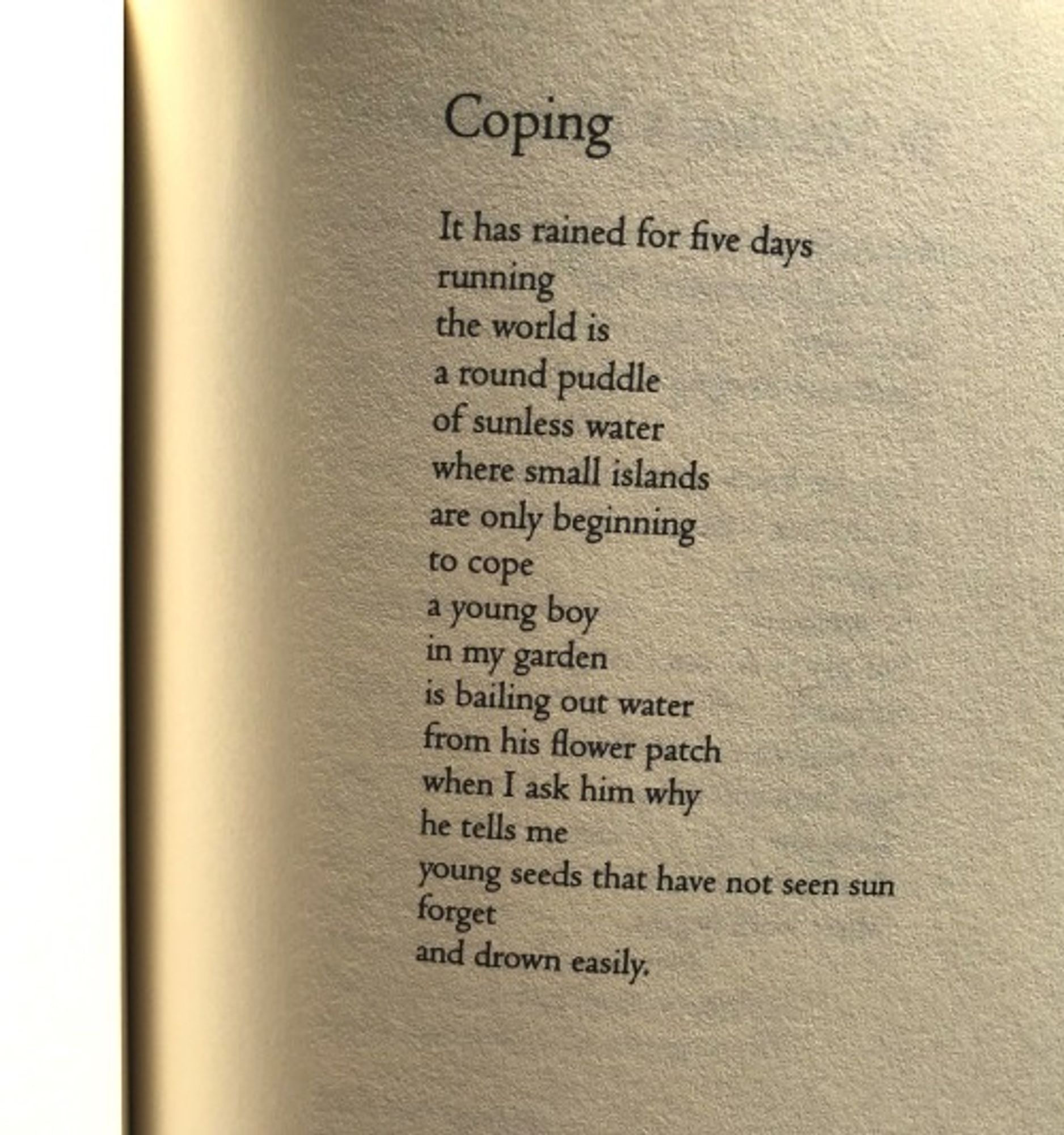 Coping
Audre Lorde

It has rained for five days
running
the world is
a round puddle
of sunless water
where small islands
are only beginning
to cope
a young boy
in my garden
is bailing out water
from his flower patch
when I ask him why
he tells me
young seeds that have not seen sun
forget
and drown easily.