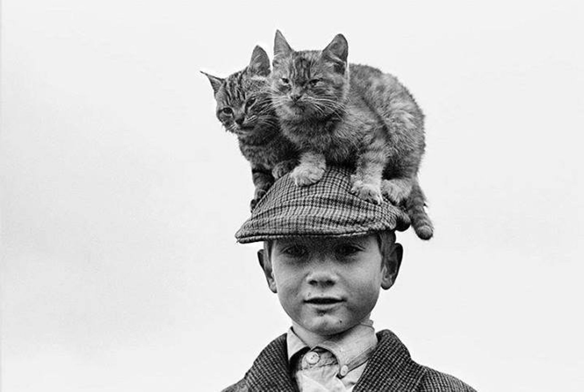 photo
 young lad wearing a cap, on his cap are sat two cats