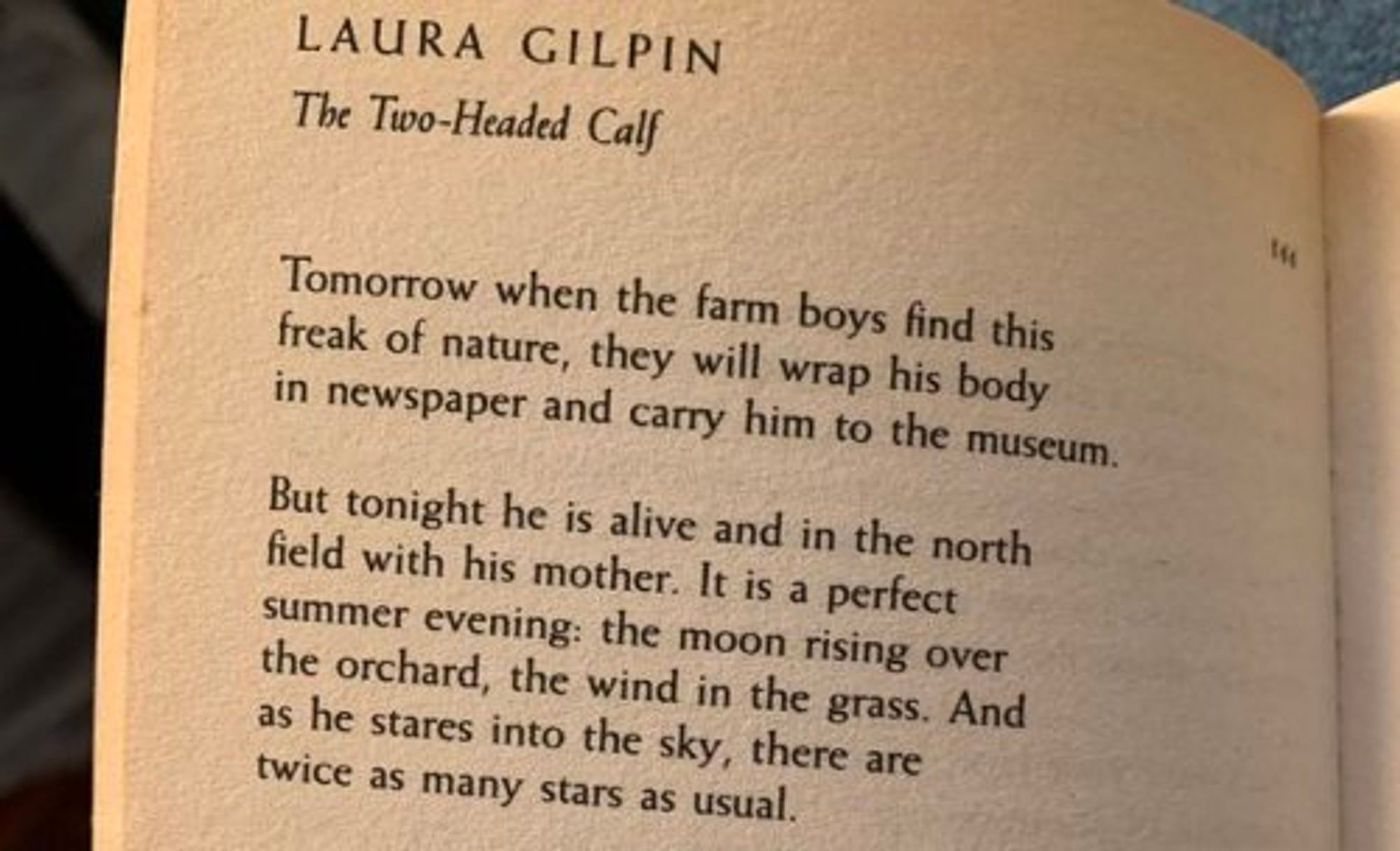 laura gilpin
the two-headed calf

Tomorrow when the farm boys find this
freak of nature, they will wrap his body
in newspaper and carry him to the museum.

But tonight he is alive and in the north
field with his mother. It is a perfect
summer evening: the moon rising over
the orchard, the wind in the grass. And
as he stares into the sky, there are
twice as many stars as usual.