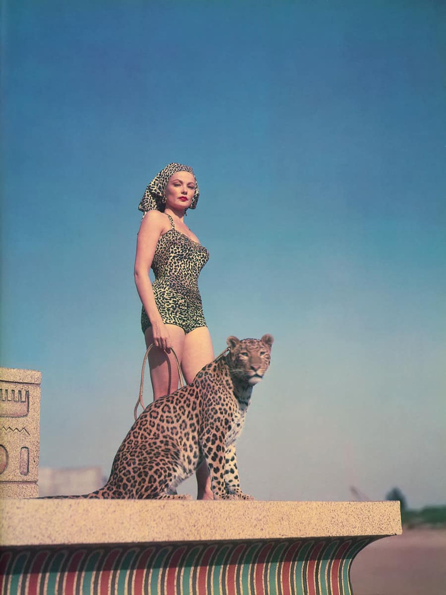 photo
a woman in a leopard print swimsuit sat next to her is an actual leopard wonder why she is wearing its cousins.