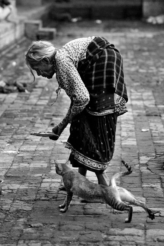 an old lady, hunch over lowering a plate of food for her cat