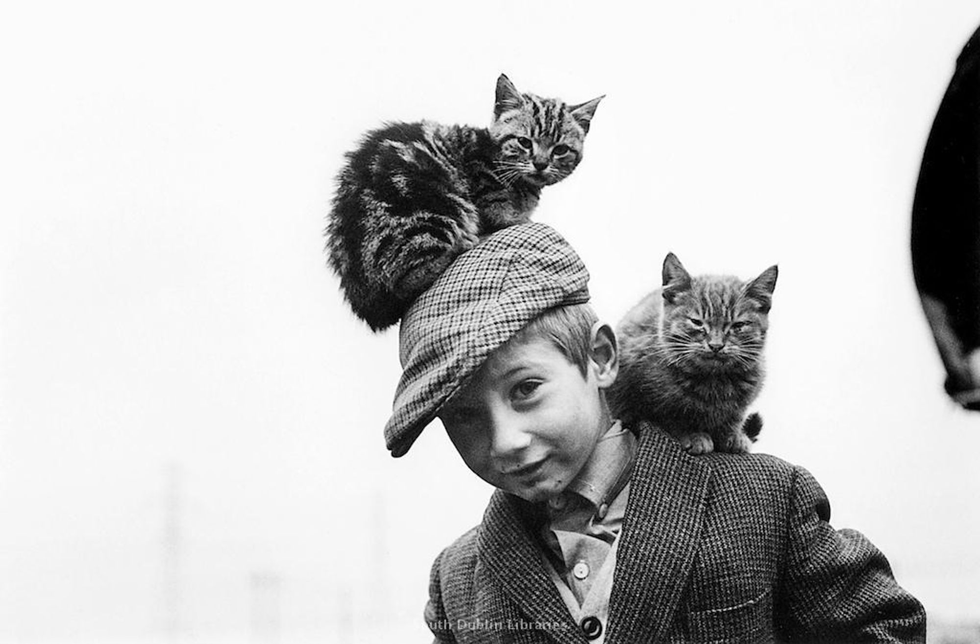 photo
 a young lad with two cats, one on his head the oter sat on his shoulder