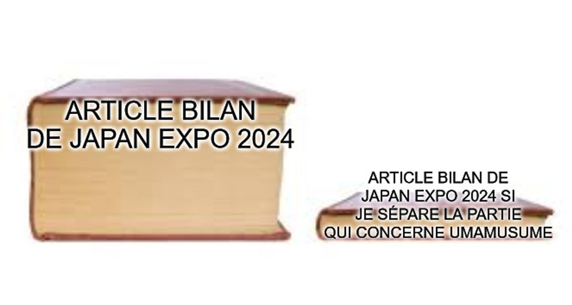 Un énome livre et un tout petit livre. Sur l'énorme livre il est écrit : "Article bilan de Japan Expo 2024". Sur le tout petit livre il est écrit : "Article bilan de Japan Expo 2024 si je sépare la partie qui concerne Umamusume"