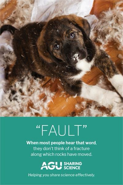 A picture of a puppy. Underneath it says bolt when people hear that word, they don’t think of a fracture along which rocks have moved.