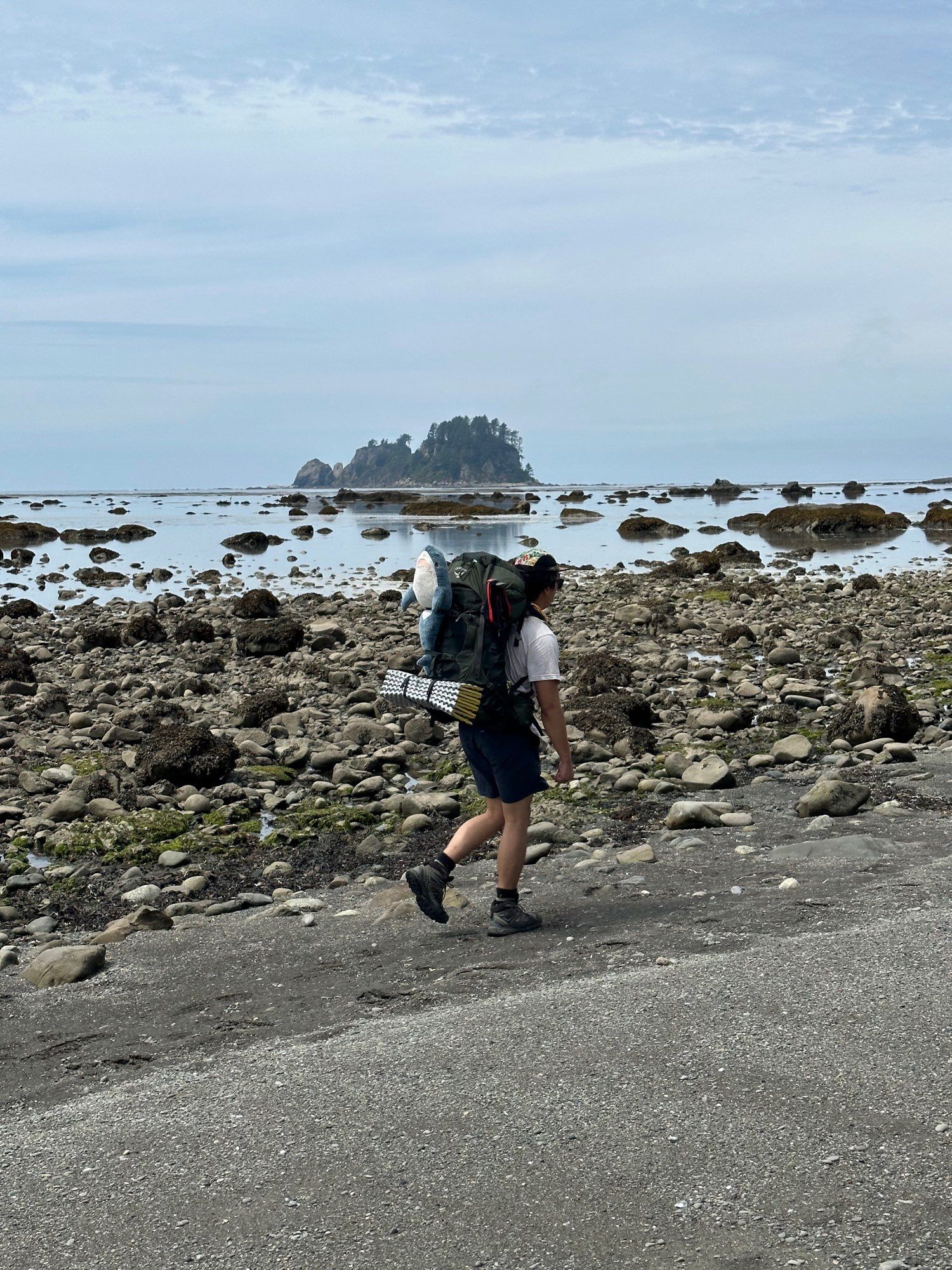 a man (me) walks along a rocky shore with a backpack, equipped with hiking poles, a sleeping pad, and a small ikea stuffed shark. skies are somewhat grey and there is a forested island in the distance.