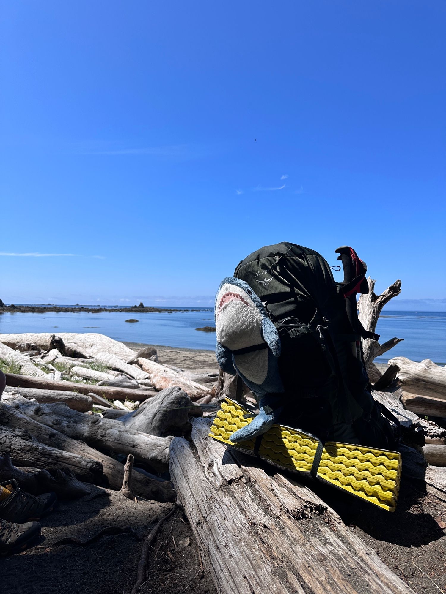 a backpacking backpack with a pair of hiking poles, sleeping pad, and small ikea stuffed shark strapped to it, sitting on some logs along a beach with clear skies 

