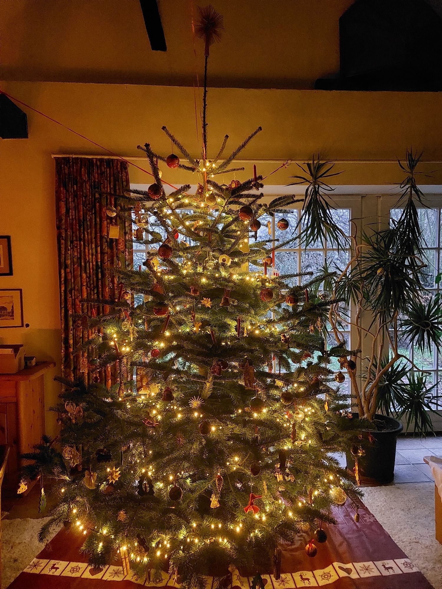 Bild von einem Weihnachtsbaum, an dem die Lichterkette leuchtet. Dieser steht auf einer roten Decke. Im Hintergrund sind große Fenster zu sehen.